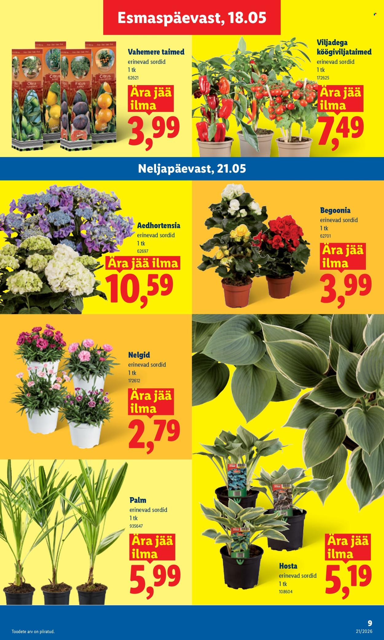 lidl - Lidl kliendileht - Kliendileht (18.05 - 24.05.2026) - page: 9