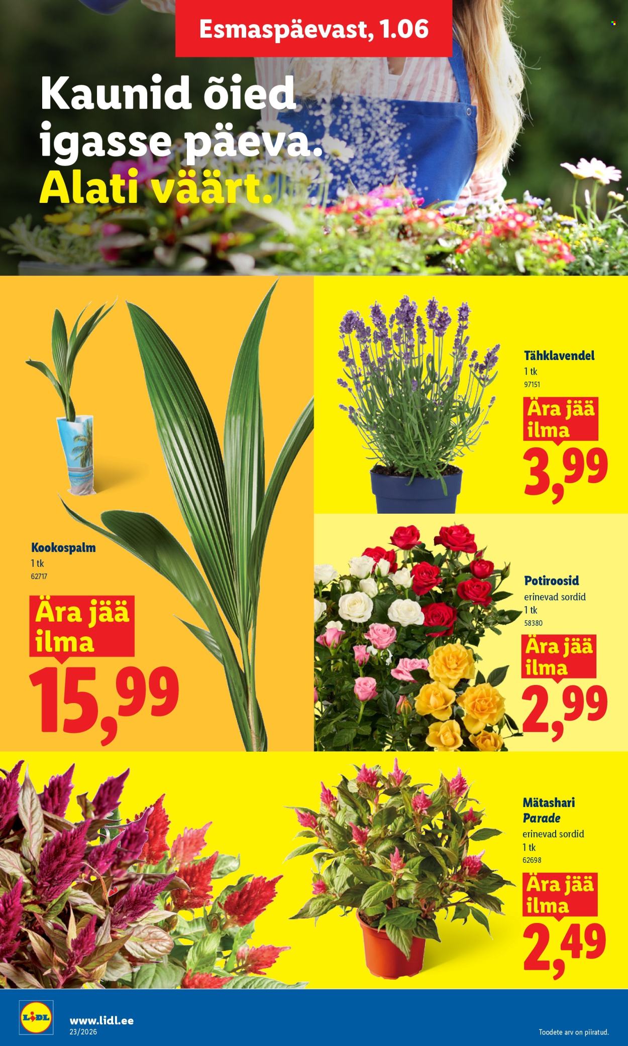 lidl - Lidl kliendileht - Kliendileht (1.06 - 7.06.2026) - page: 8