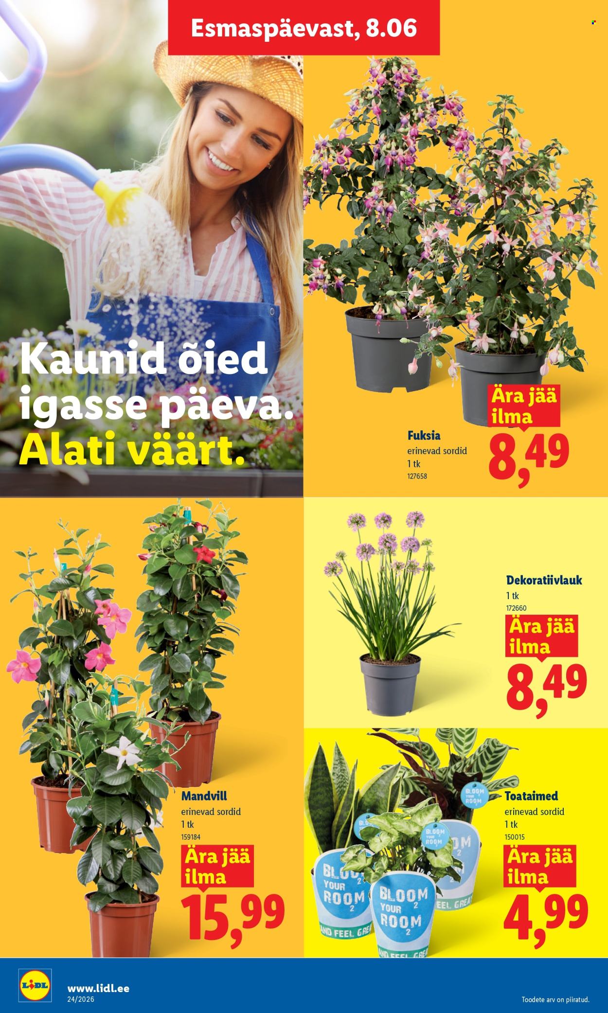 lidl - Lidl kliendileht (8.06 - 14.06.2026) - page: 8
