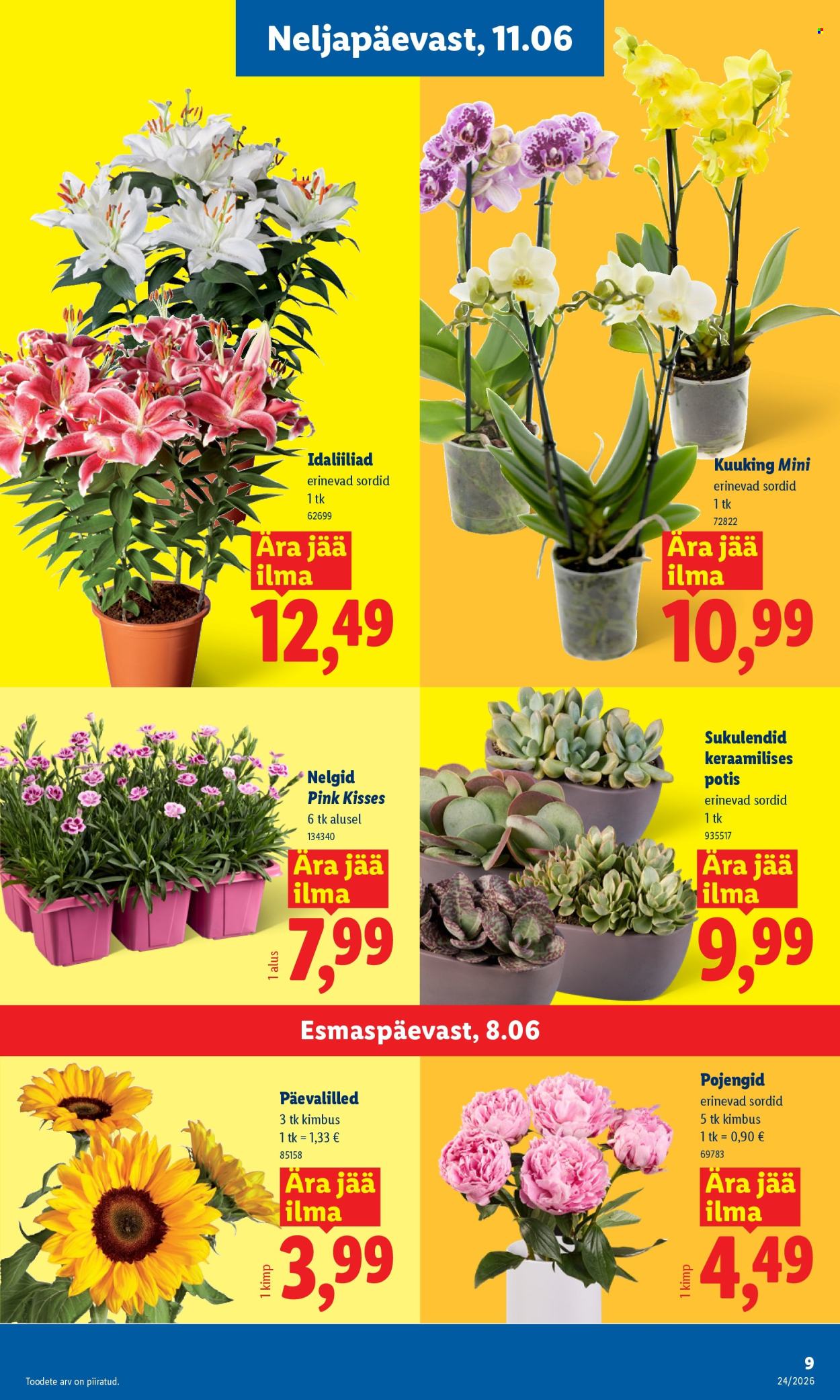 lidl - Lidl kliendileht (8.06 - 14.06.2026) - page: 9