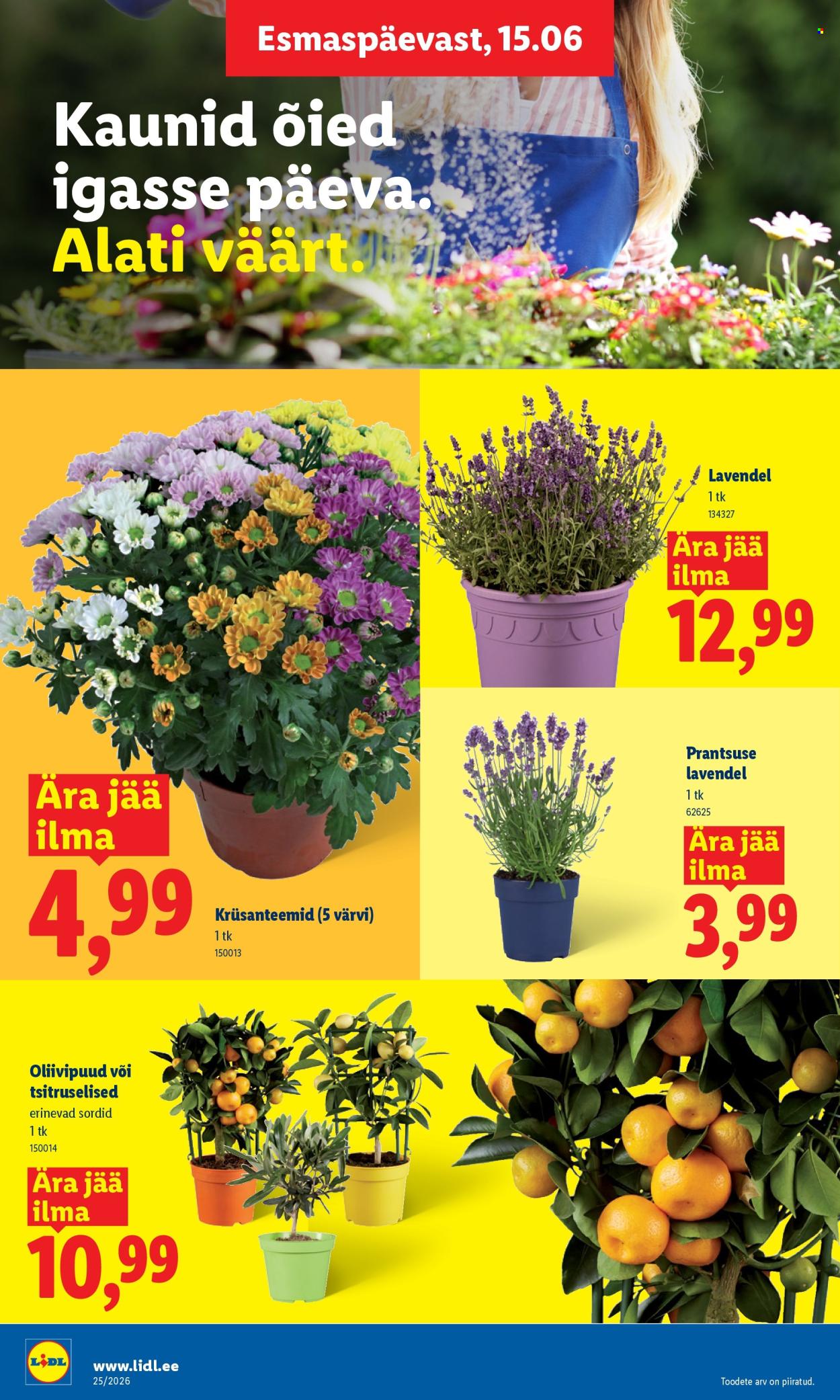 lidl - Lidl kliendileht (15.06 - 21.06.2026) - page: 8