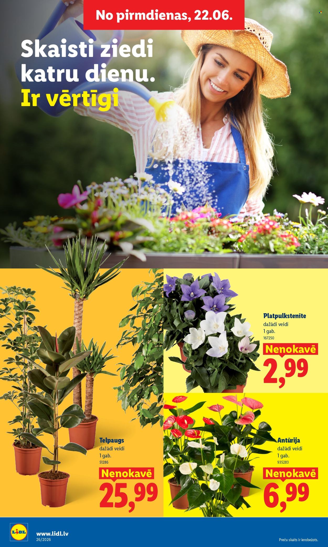 lidl - Lidl kliendileht (22.06 - 28.06.2026) - page: 8