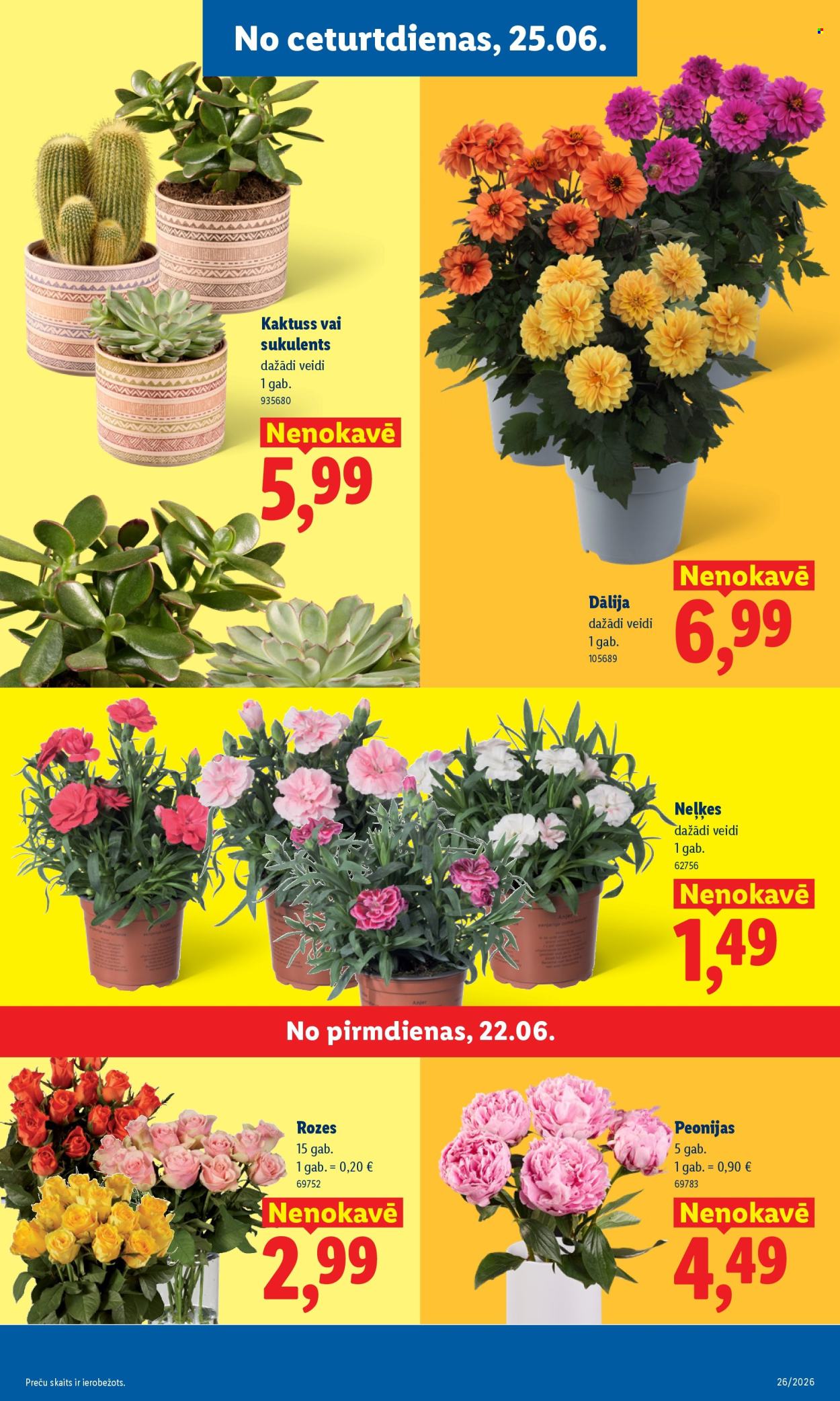 lidl - Lidl kliendileht (22.06 - 28.06.2026) - page: 9