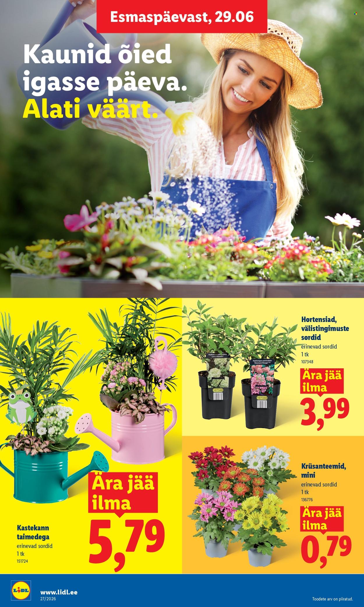 lidl - Lidl kliendileht (29.06 - 5.07.2026) - page: 8