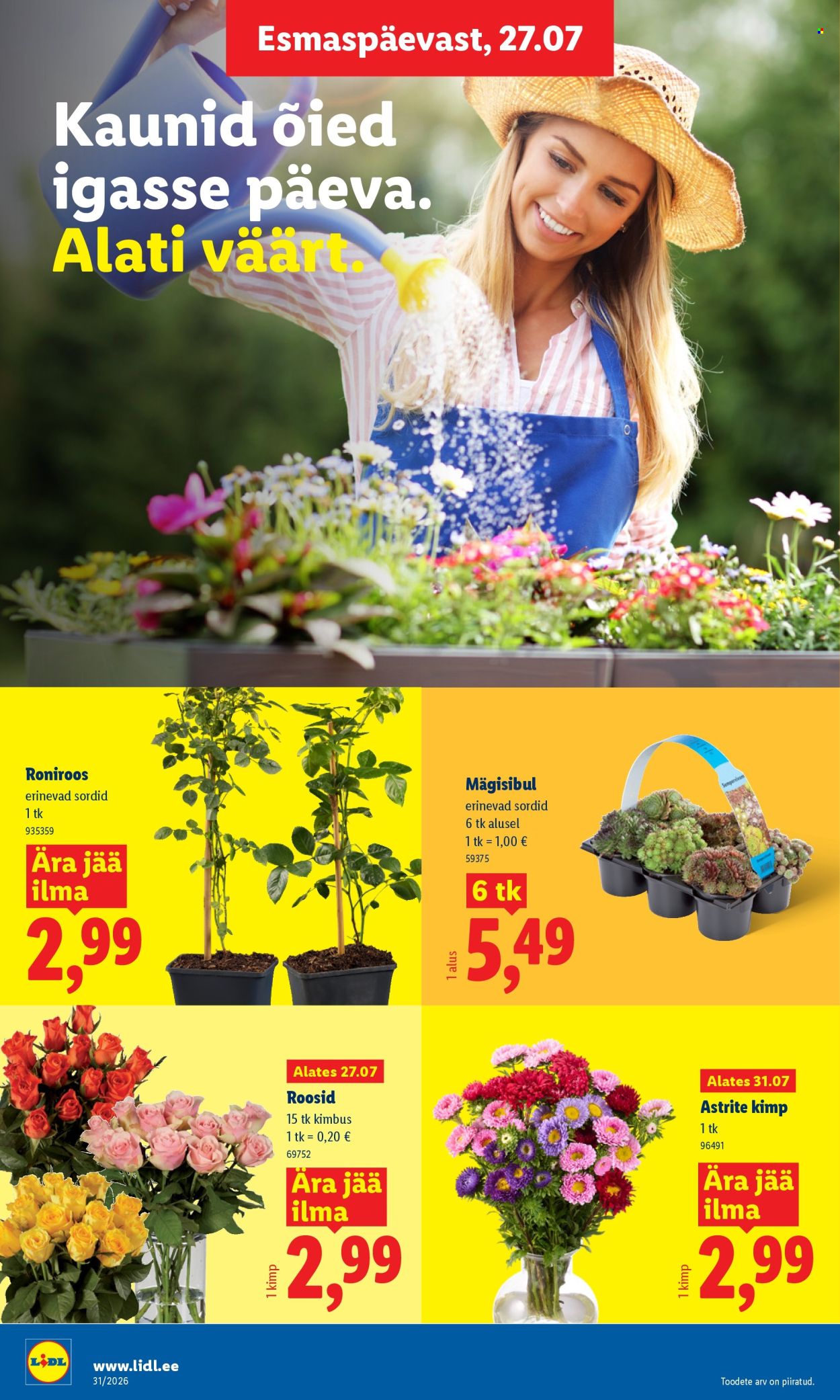 lidl - Lidl kliendileht (27.07 - 2.08.2026) - page: 10