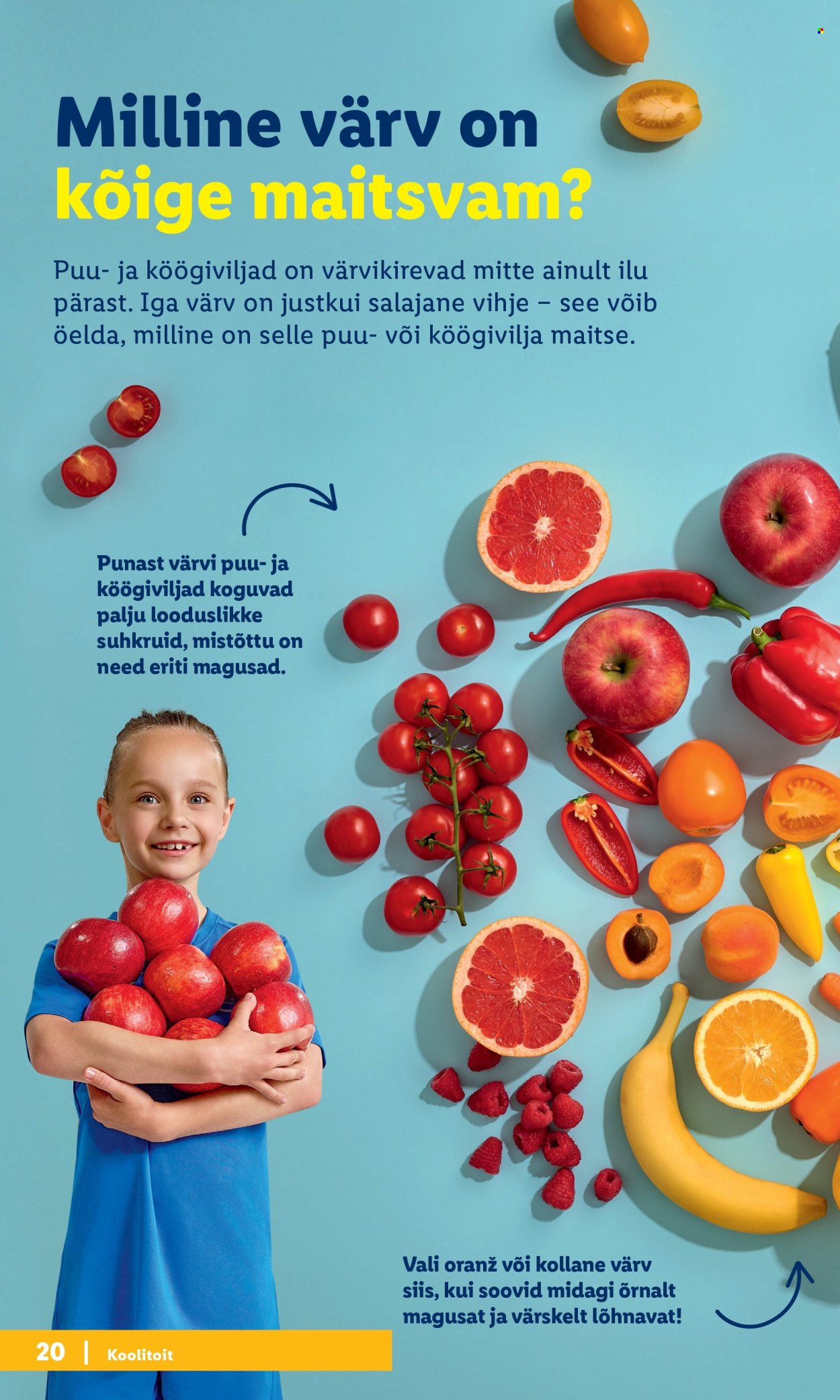 lidl - Lidl kliendileht - Tagasi kooli - page: 20