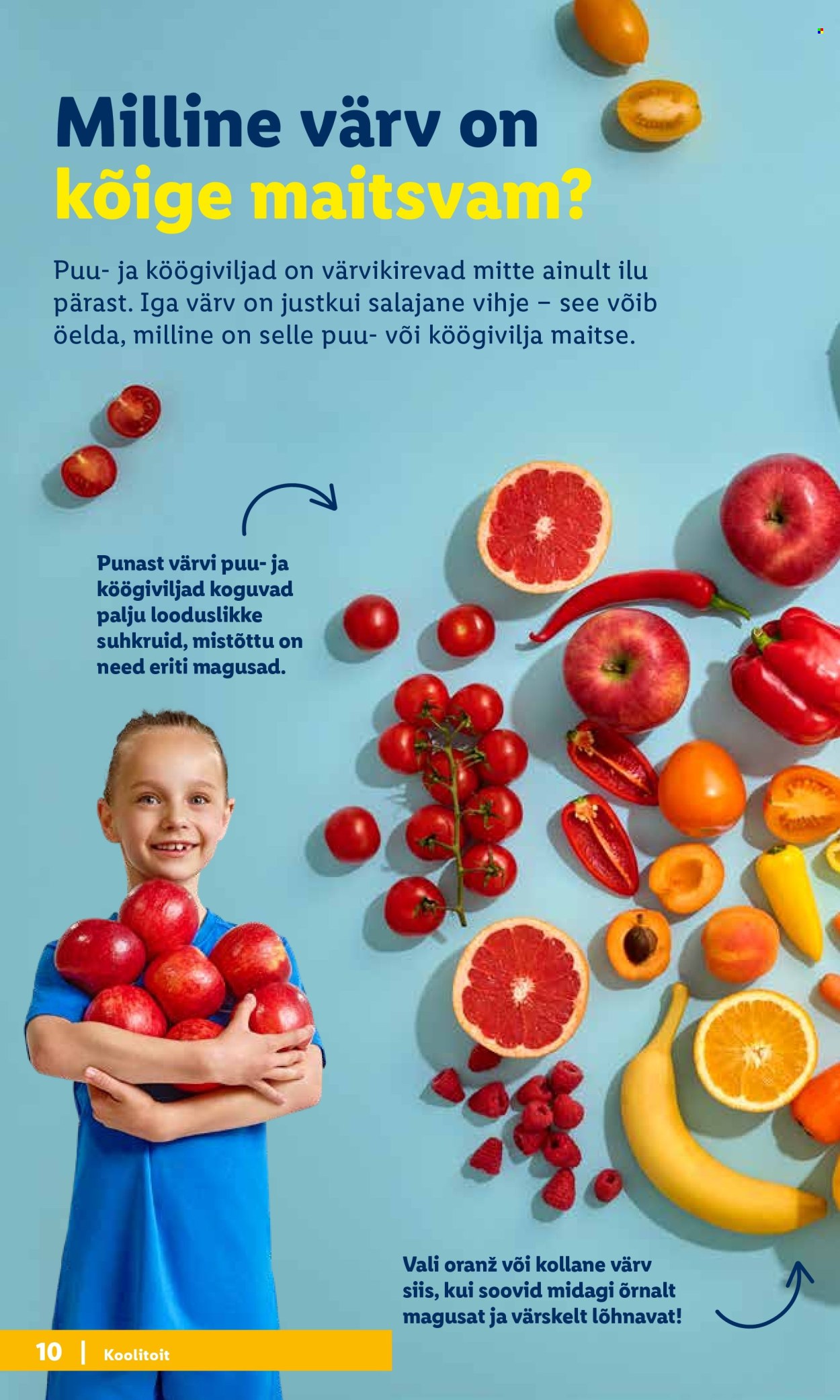 lidl - Lidl kliendileht - page: 10