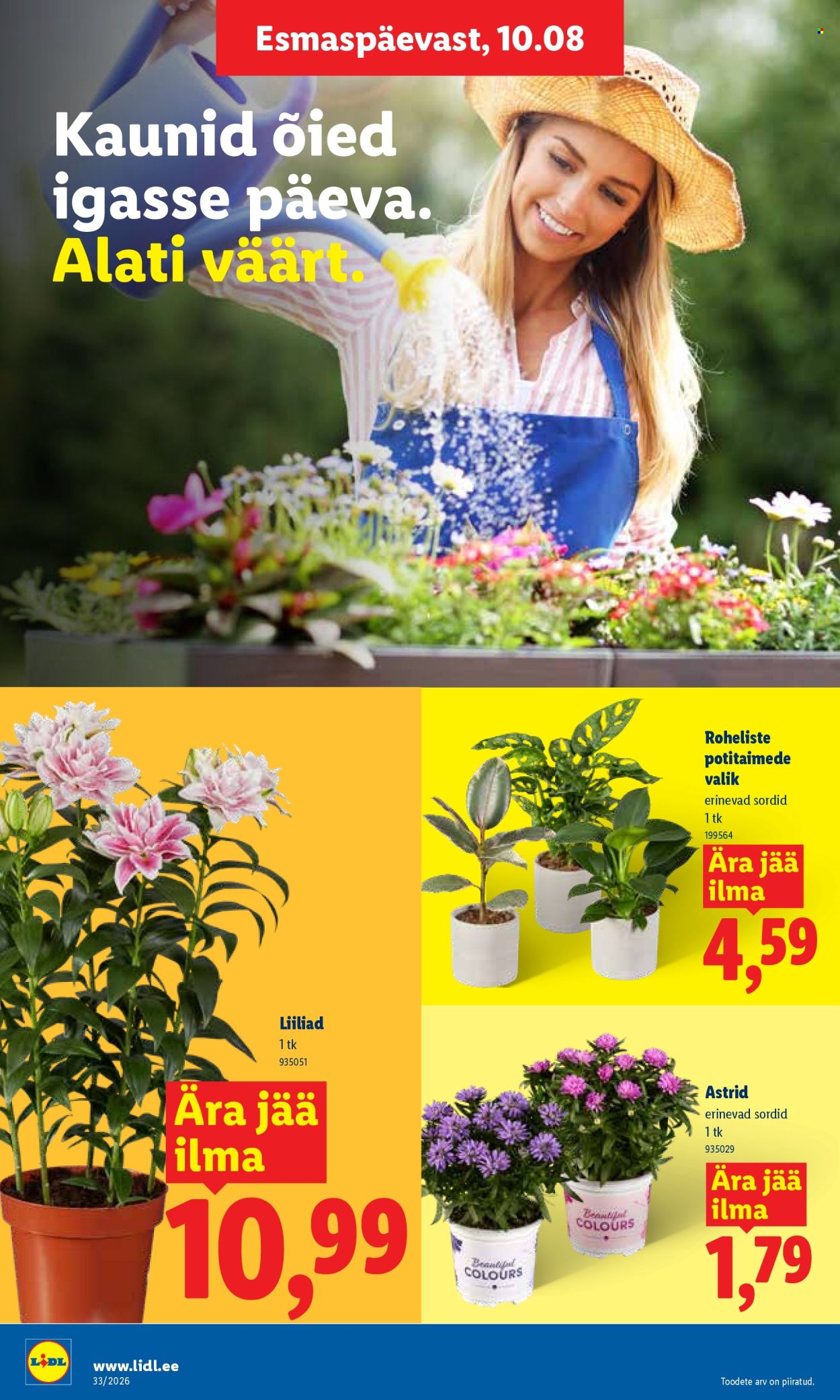 lidl - Lidl kliendileht (10.08 - 16.08.2026) - page: 10