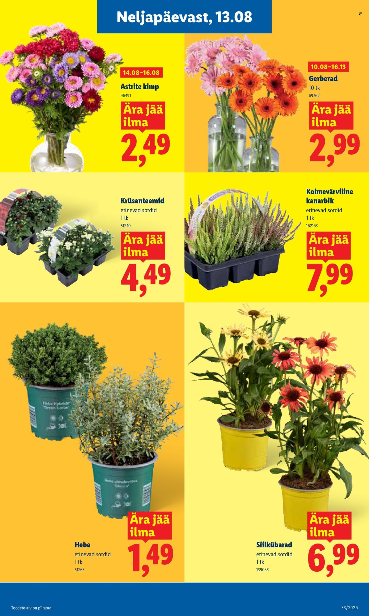 lidl - Lidl kliendileht (10.08 - 16.08.2026) - page: 11