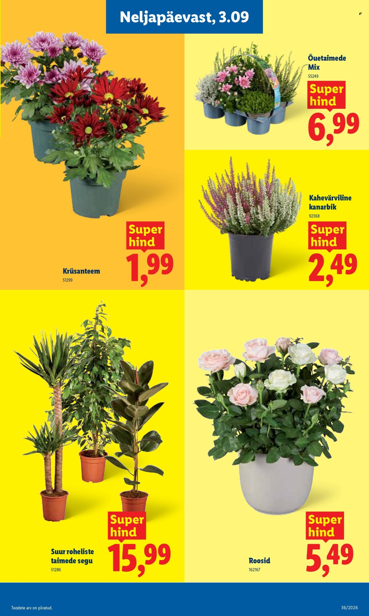 lidl - Lidl kliendileht (31.08 - 6.09.2026) - page: 9