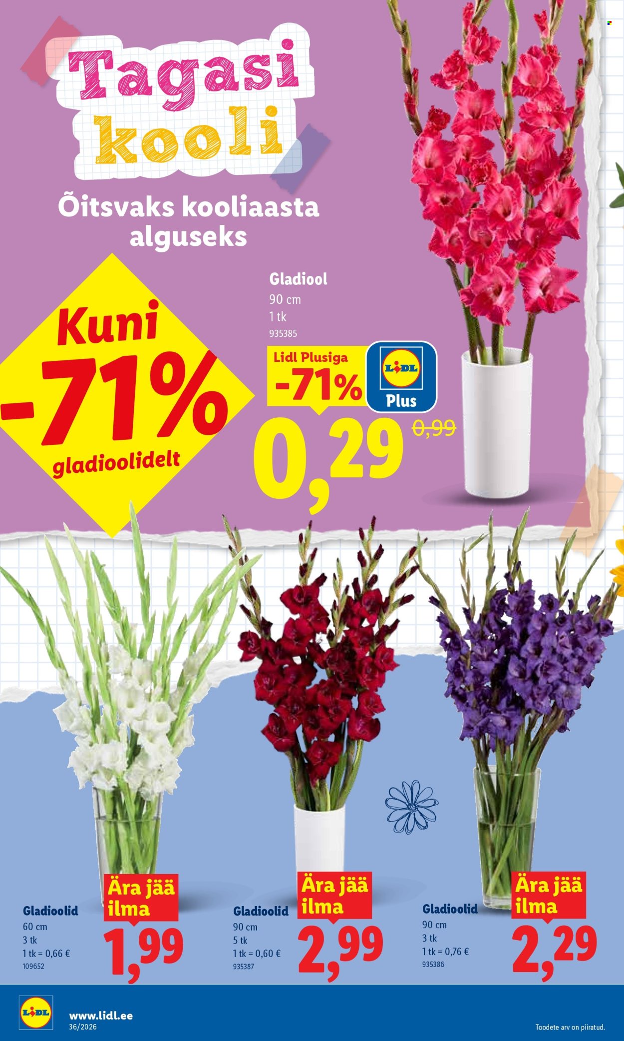lidl - Lidl kliendileht (31.08 - 6.09.2026) - page: 2