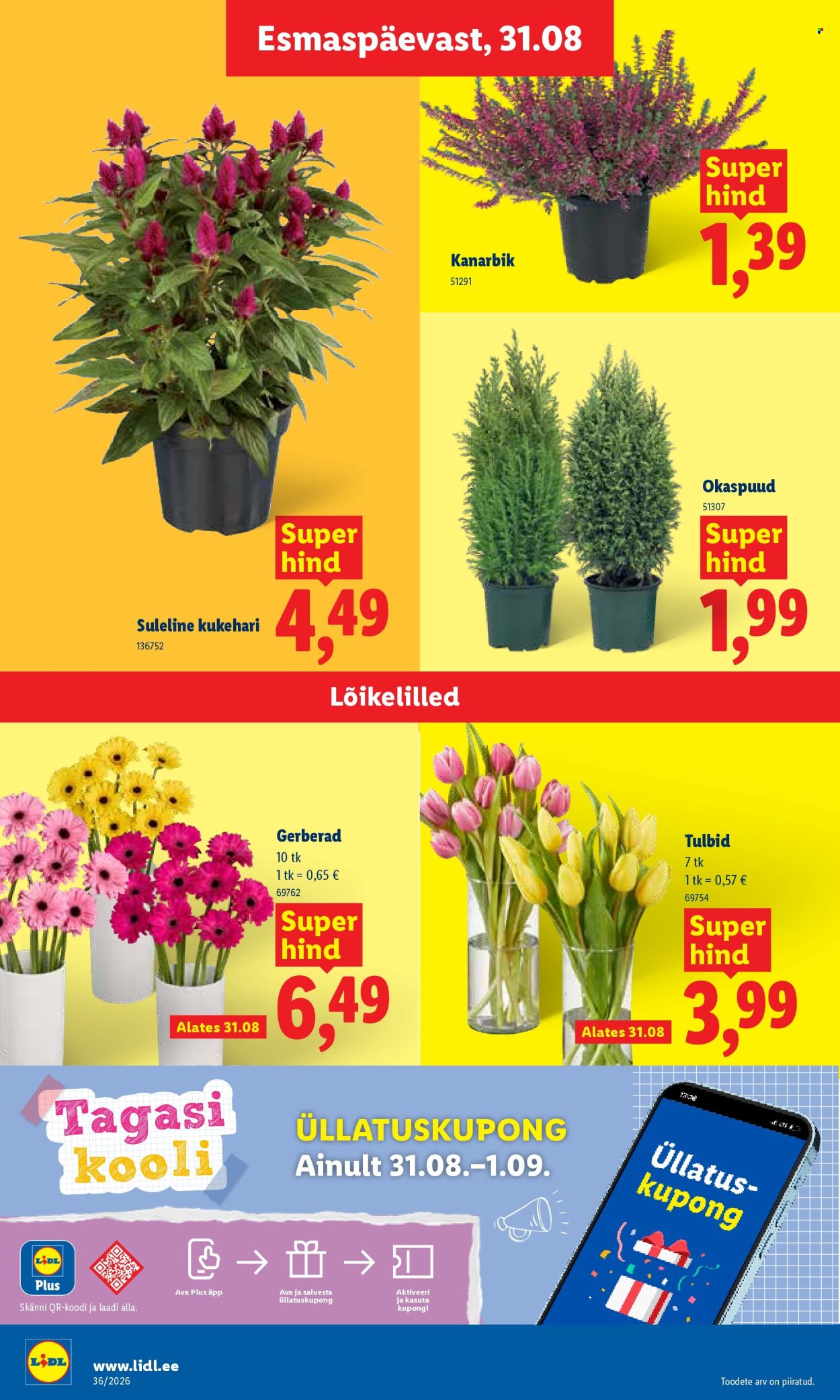 lidl - Lidl kliendileht (31.08 - 6.09.2026) - page: 8