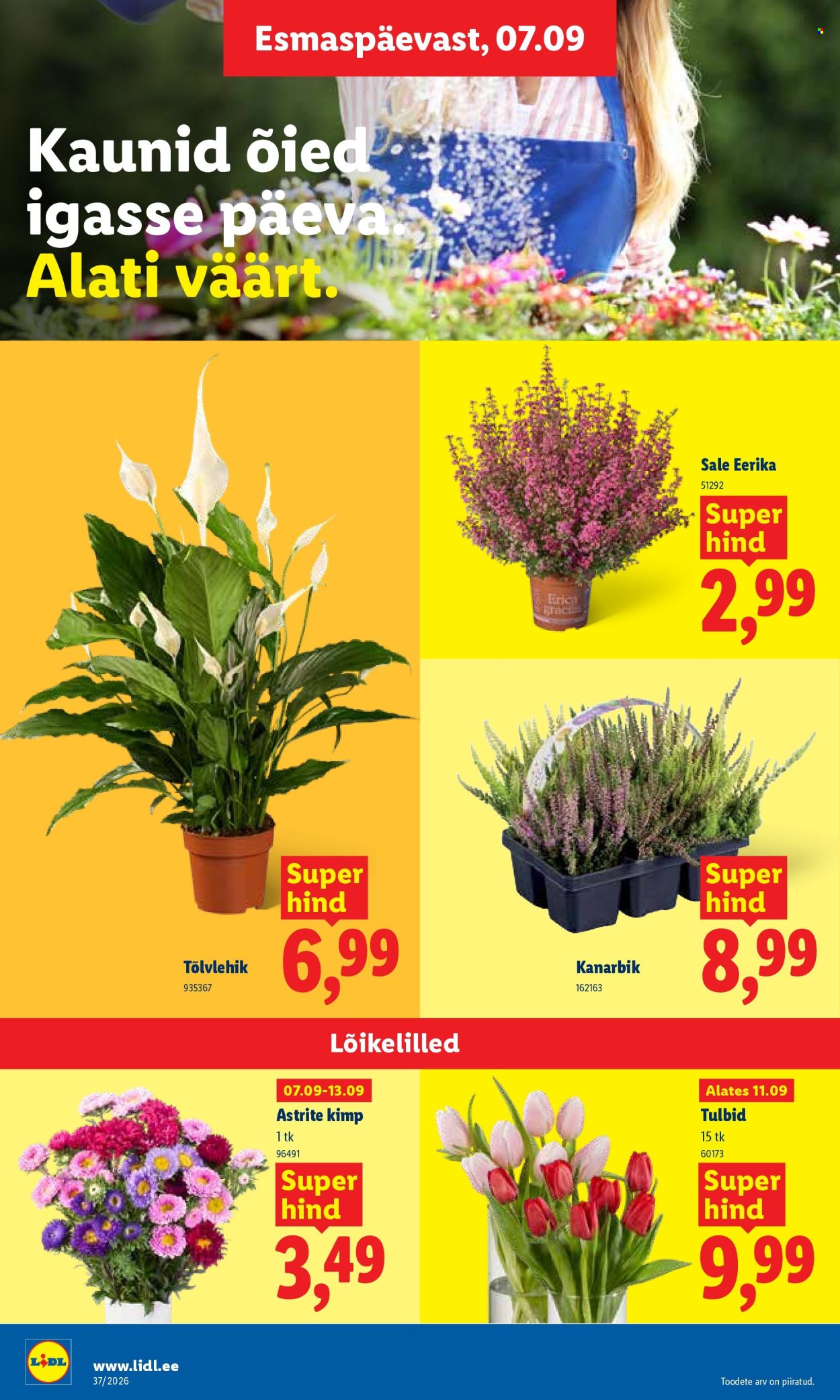 lidl - Lidl kliendileht (7.09 - 13.09.2026) - page: 22