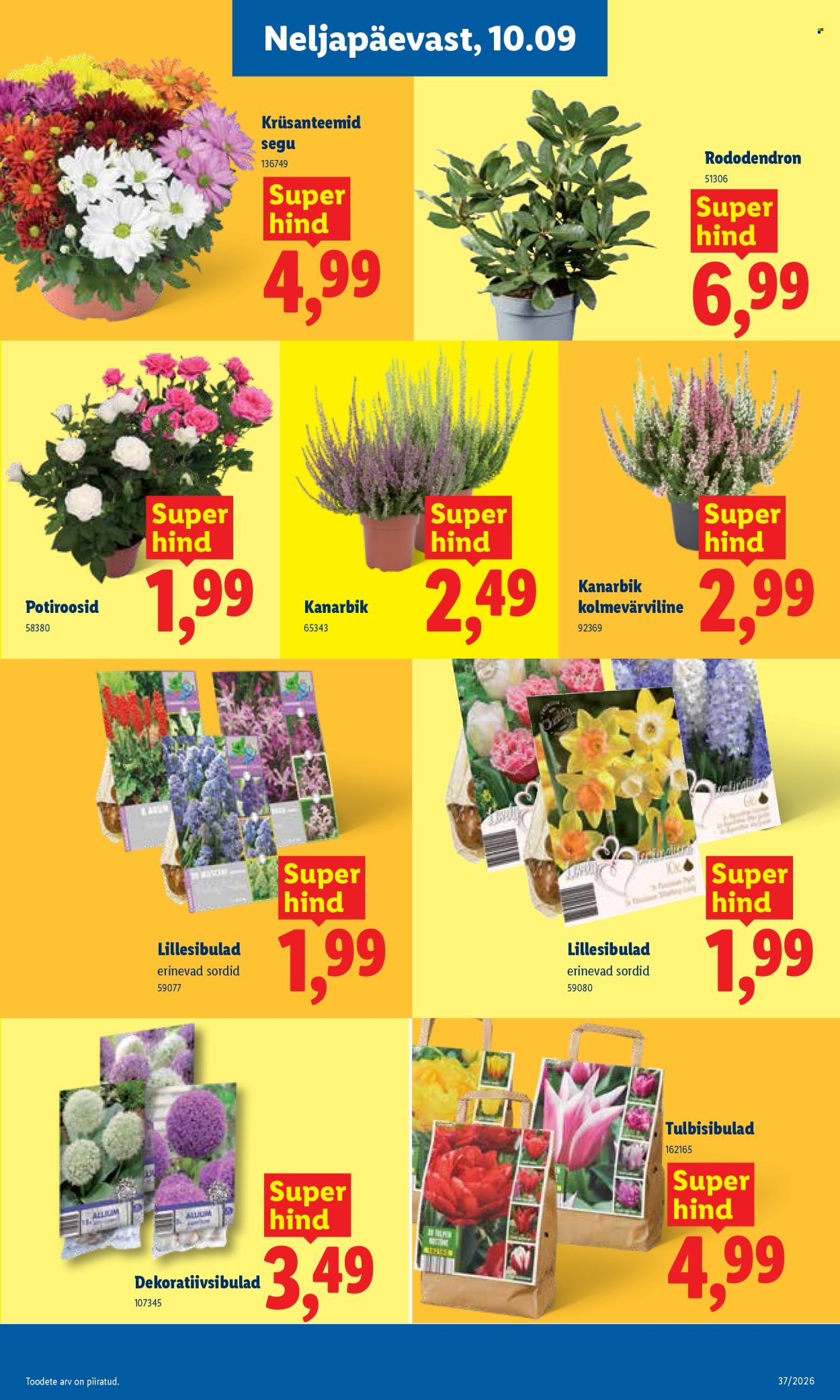 lidl - Lidl kliendileht (7.09 - 13.09.2026) - page: 23