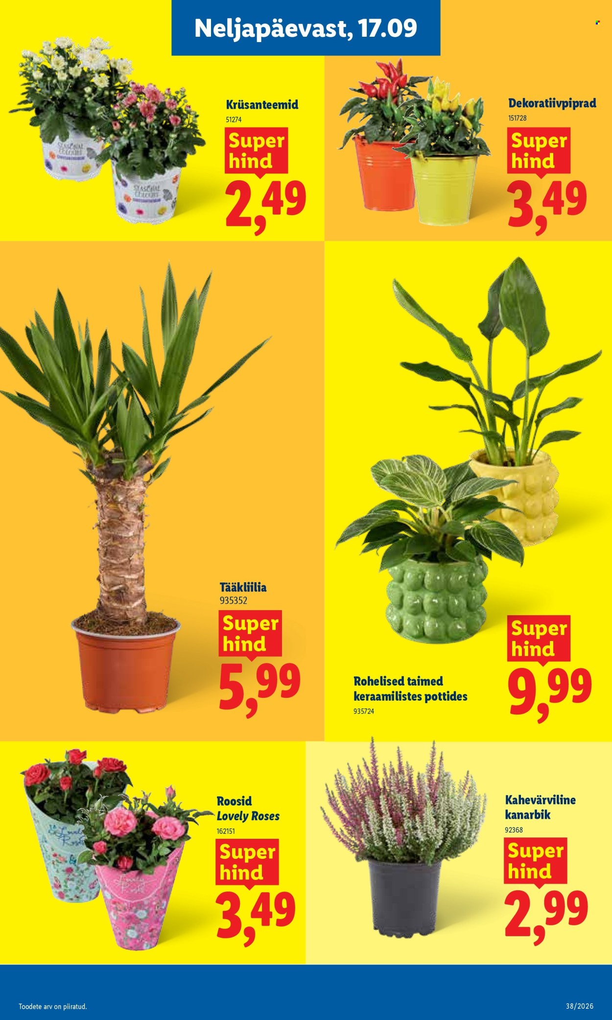 lidl - Lidl kliendileht (14.09 - 20.09.2026) - page: 21
