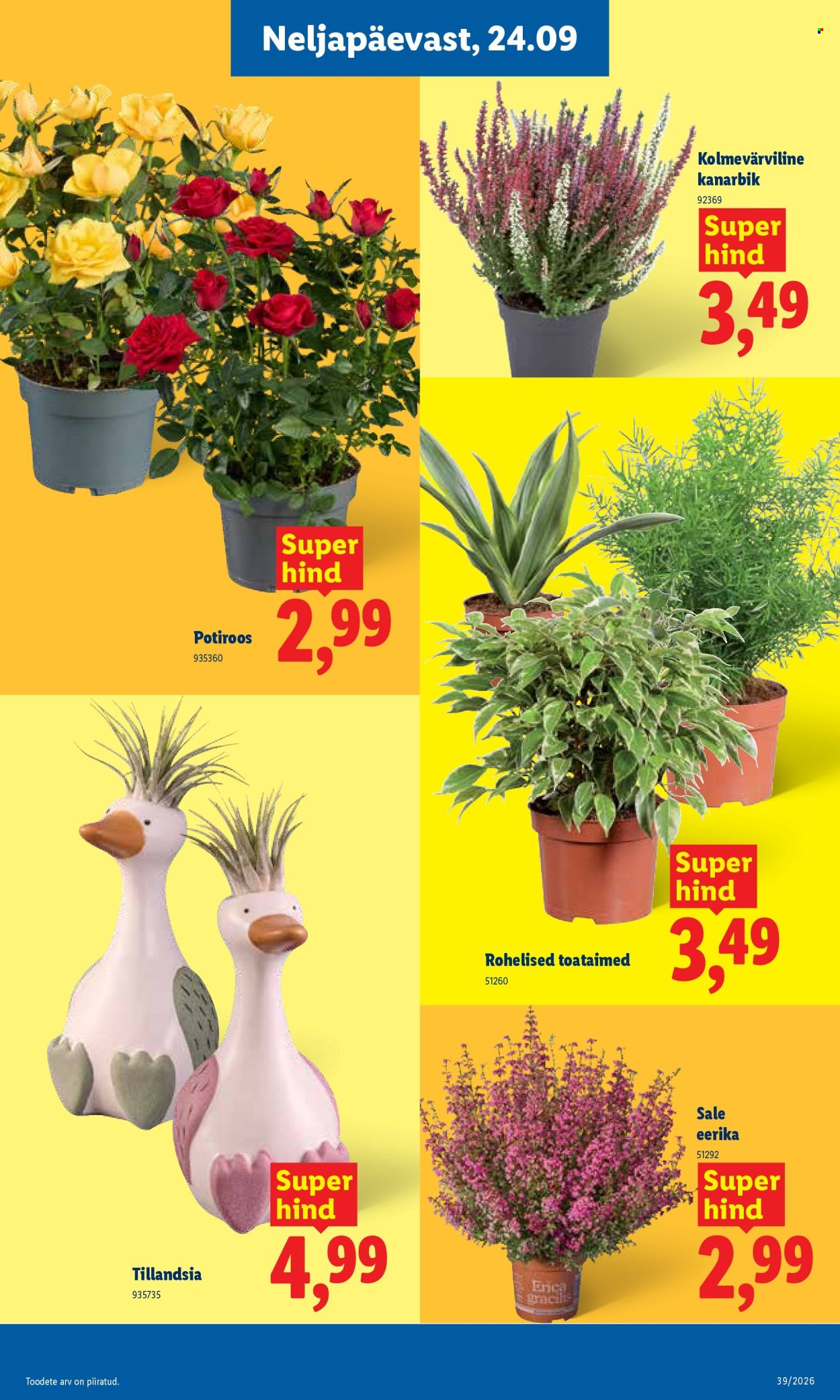 lidl - Lidl kliendileht (21.09 - 27.09.2026) - page: 19