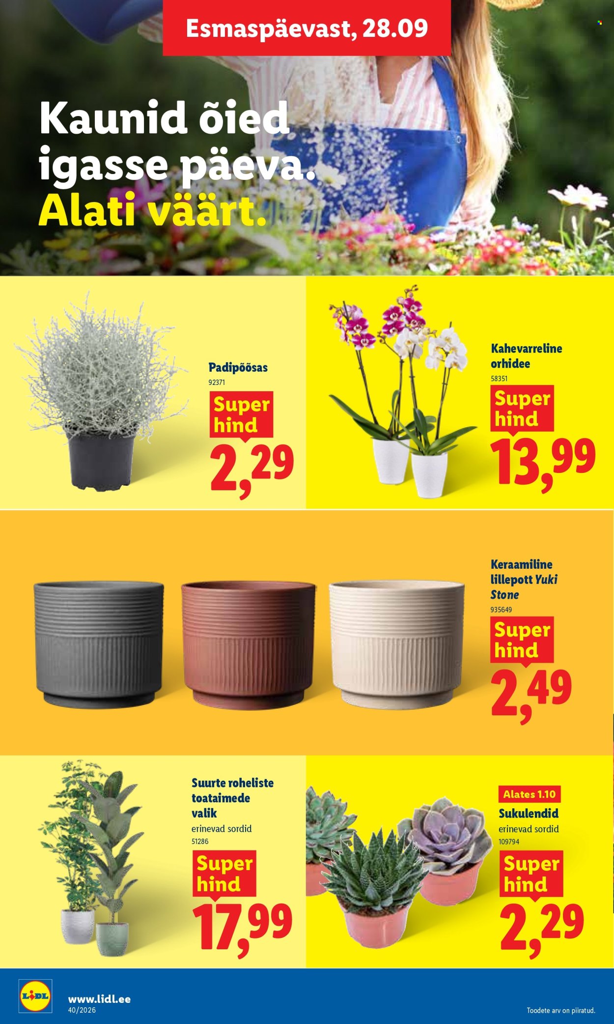 lidl - Lidl kliendileht (28.09 - 4.10.2026) - page: 22