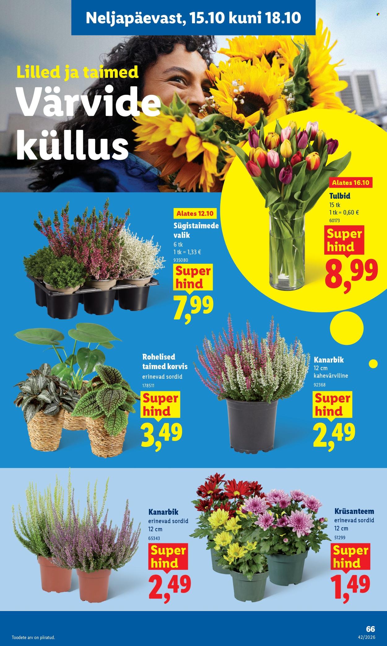 lidl - Lidl kliendileht (12.10 - 18.10.2026) - page: 47