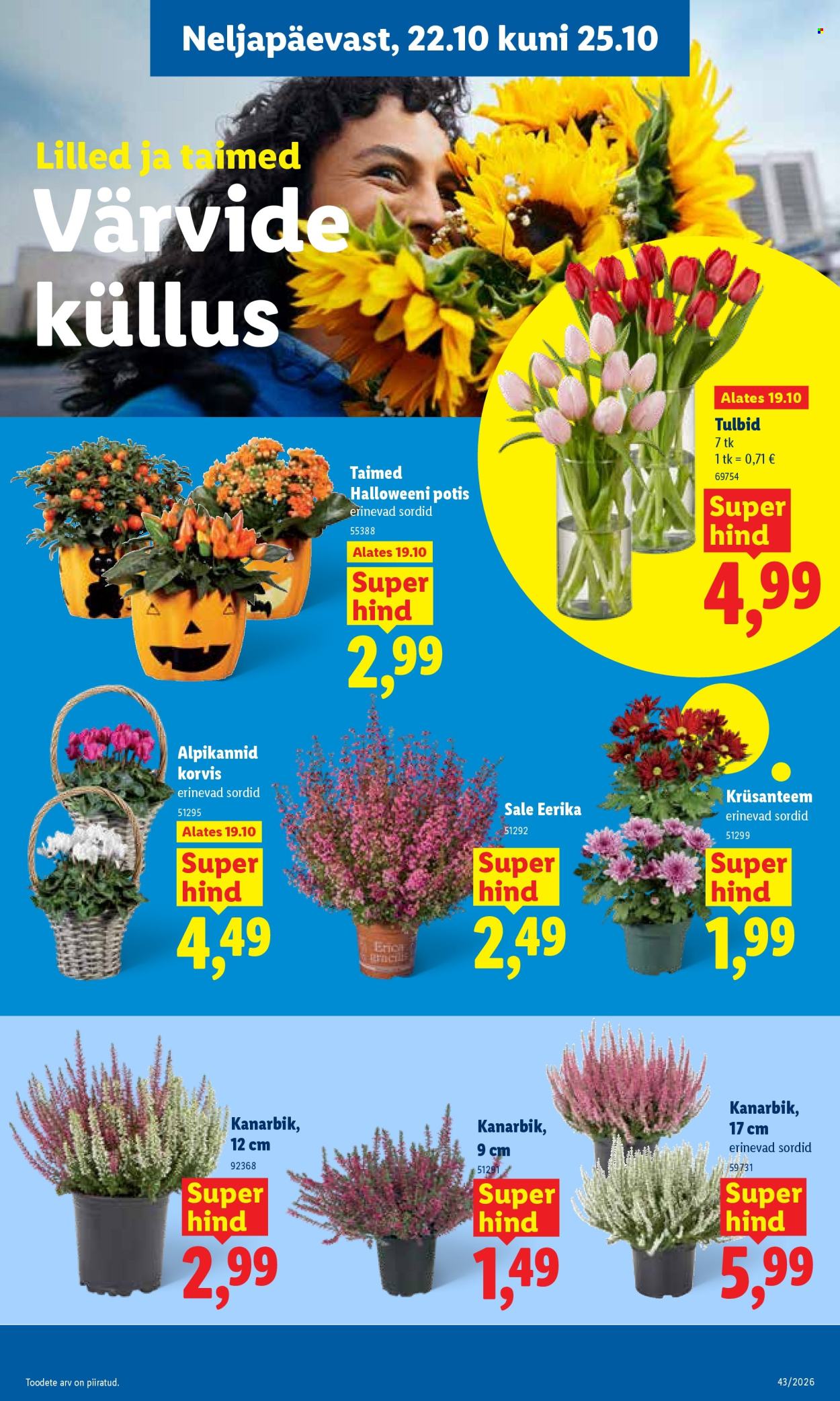 lidl - Lidl kliendileht (19.10 - 25.10.2026) - page: 29