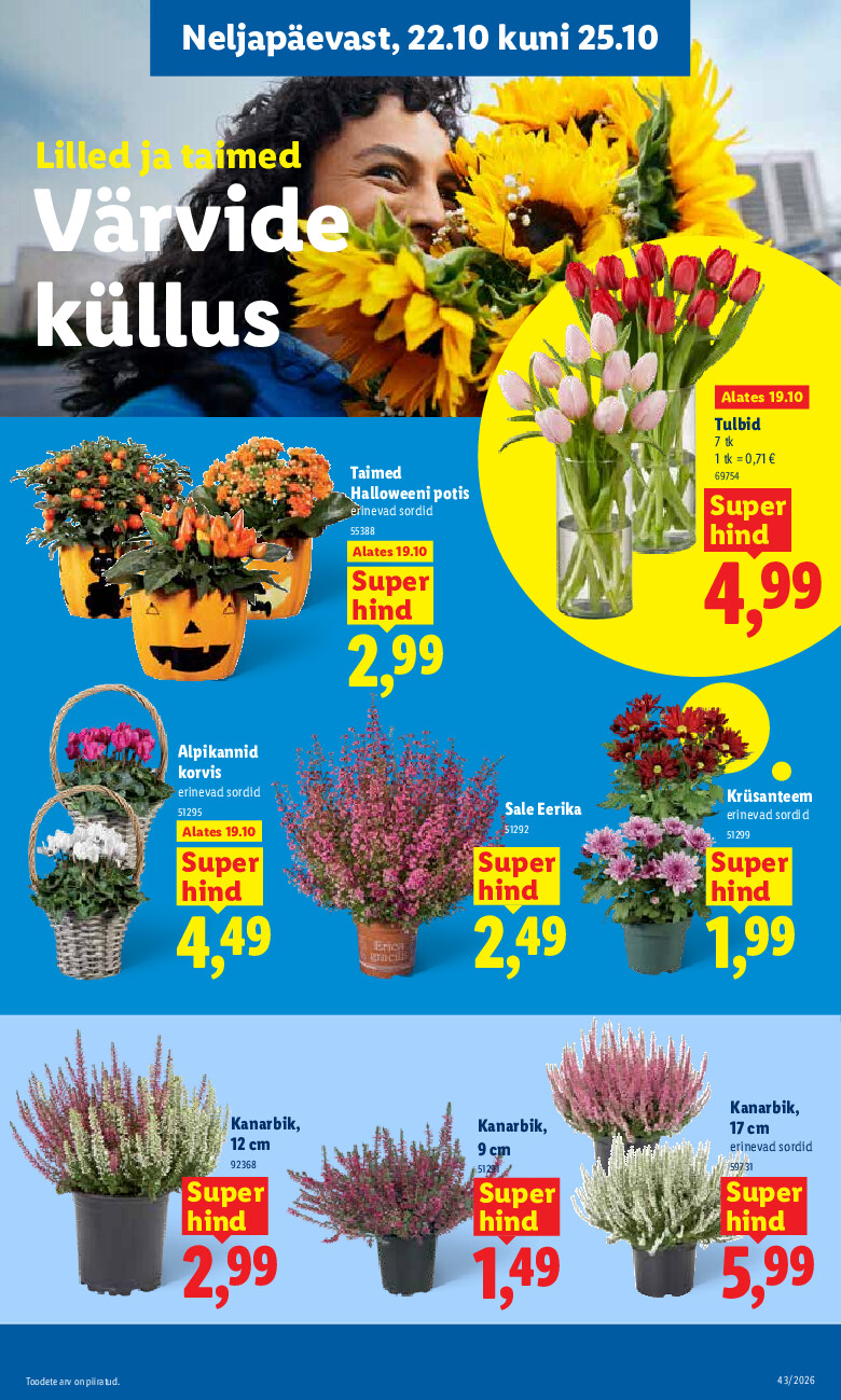 lidl - Kliendileht (2026-10-19 - 2026-10-25) - page: 29