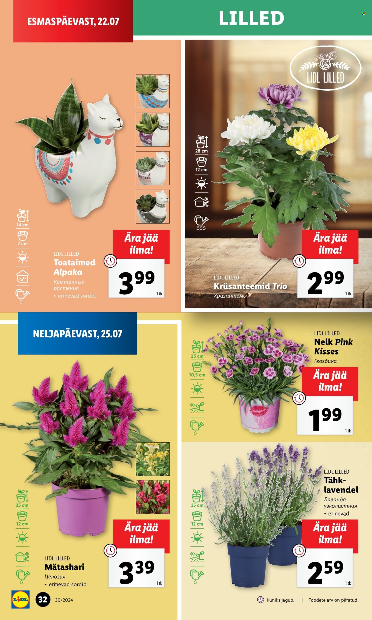 lidl - Lidl kliendileht - Kliendileht (22.07 - 28.07.2024) - page: 32