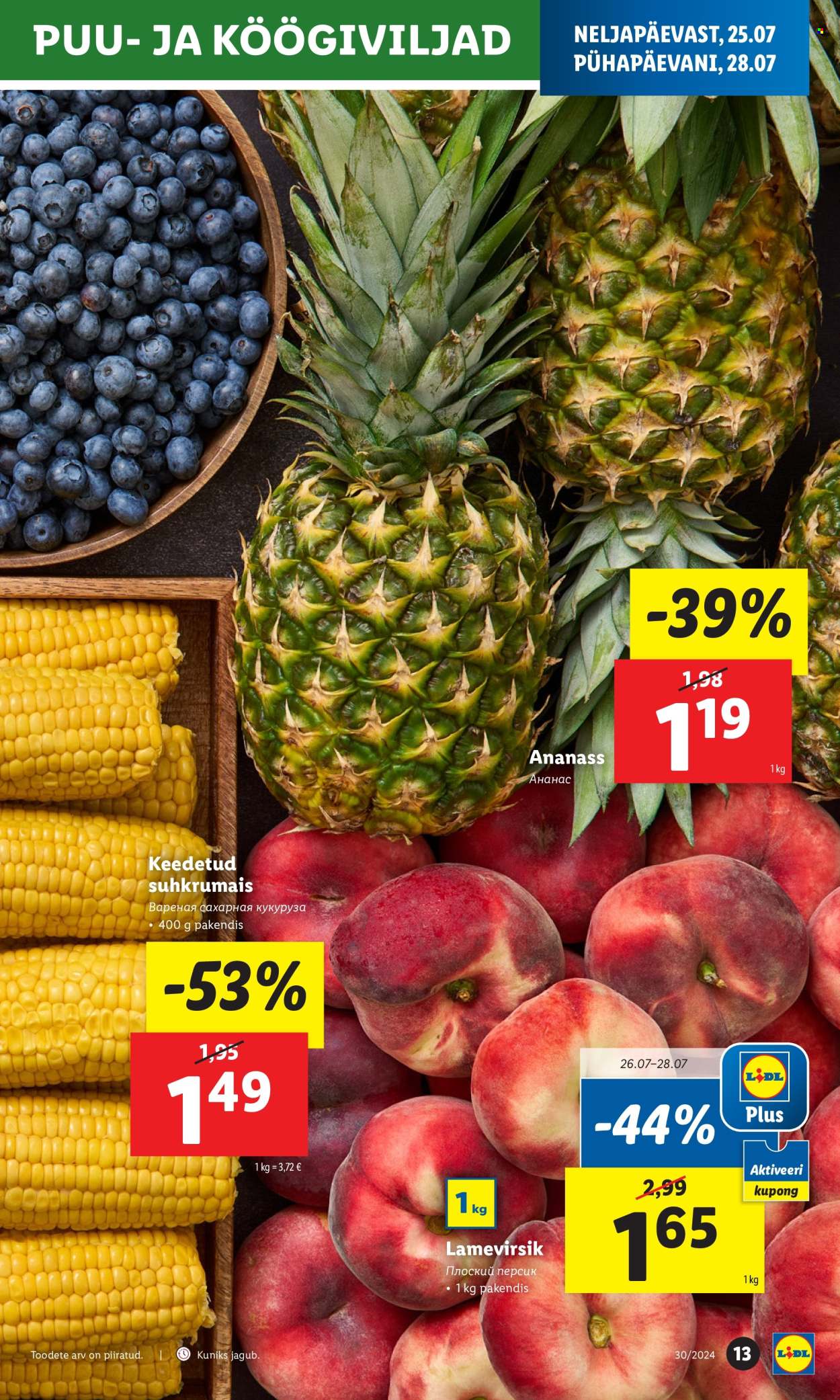 lidl - Lidl kliendileht - Kliendileht (25.07 - 28.07.2024) - page: 13