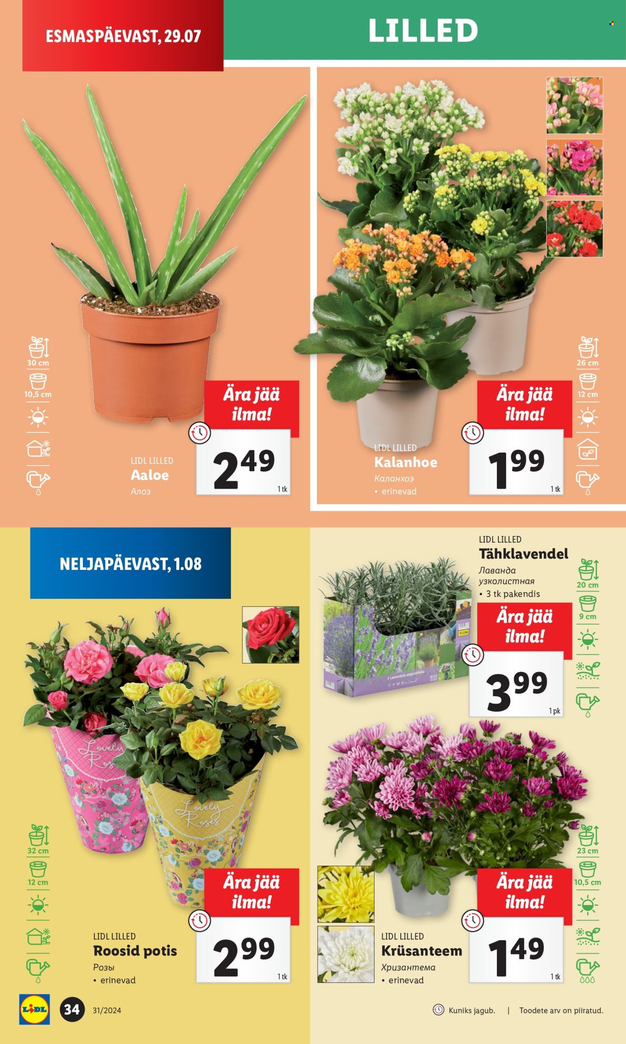 lidl - Lidl kliendileht - Kliendileht (29.07 - 4.08.2024) - page: 34