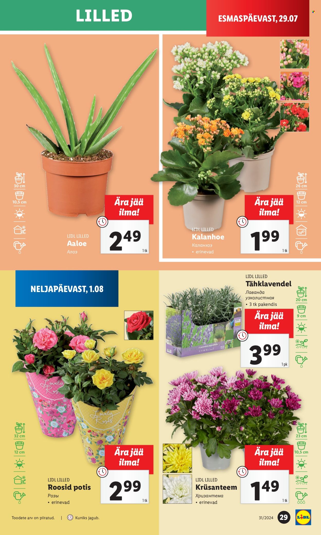 lidl - Lidl kliendileht - Kliendileht (1.08 - 4.08.2024) - page: 29