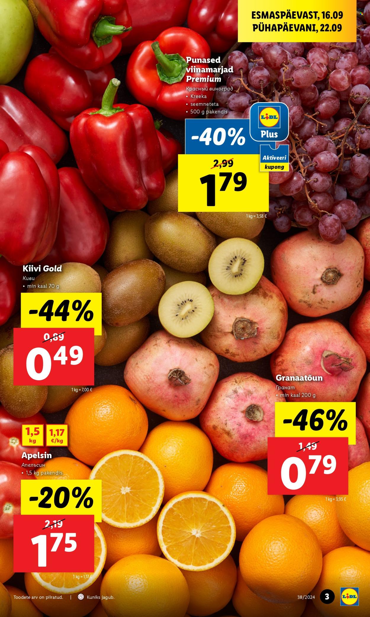 lidl - Lidl kliendileht - Kliendileht (16.09 - 22.09.2024) - page: 3