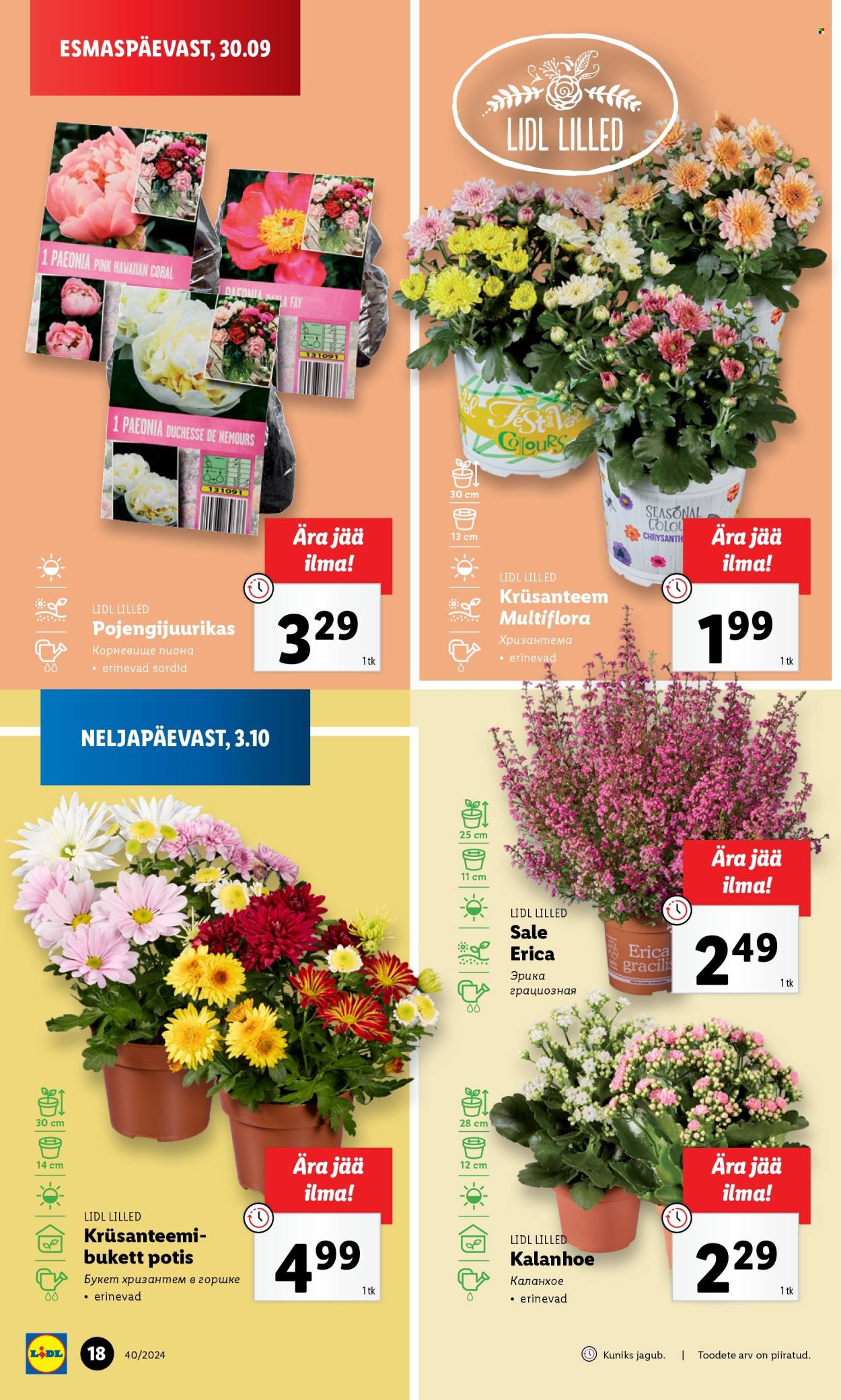 lidl - Lidl kliendileht - Kliendileht (30.09 - 6.10.2024) - page: 18