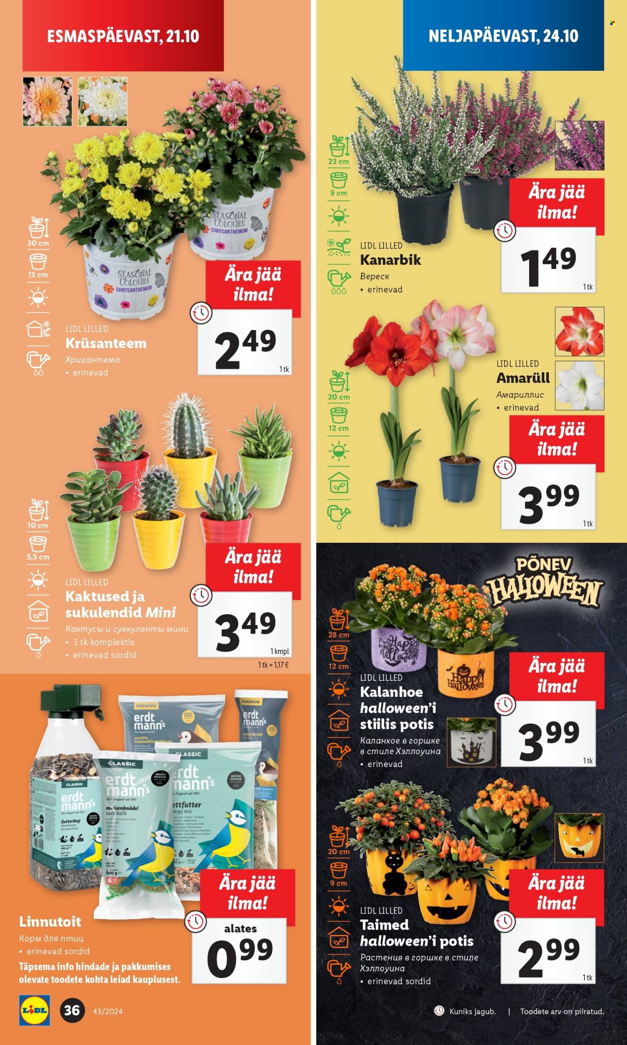 lidl - Lidl kliendileht - Kliendileht (21.10 - 27.10.2024) - page: 36