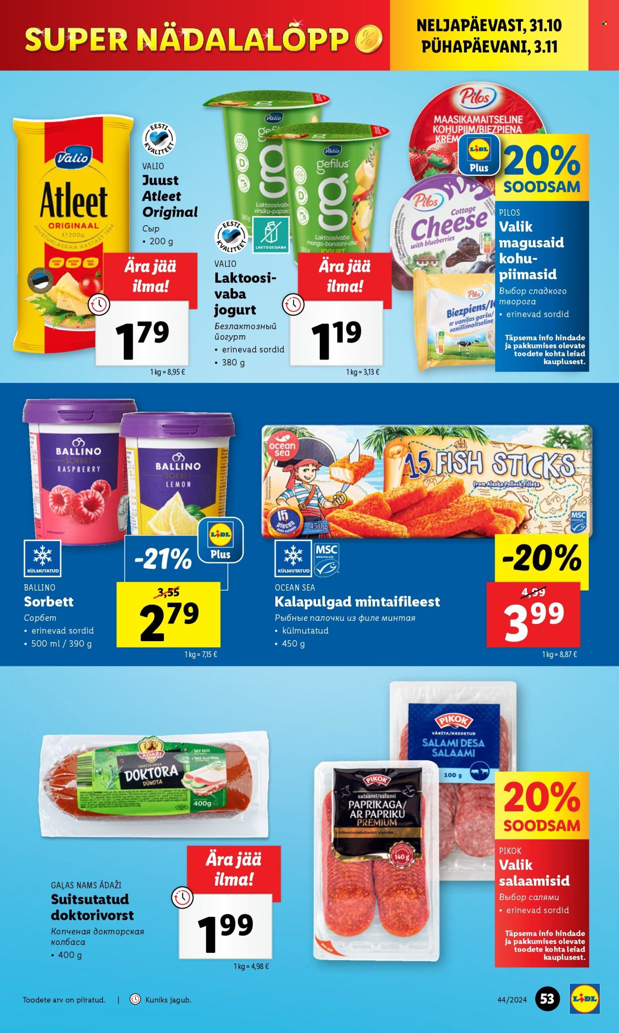 lidl - Lidl kliendileht - Kliendileht (28.10 - 3.11.2024) - page: 53