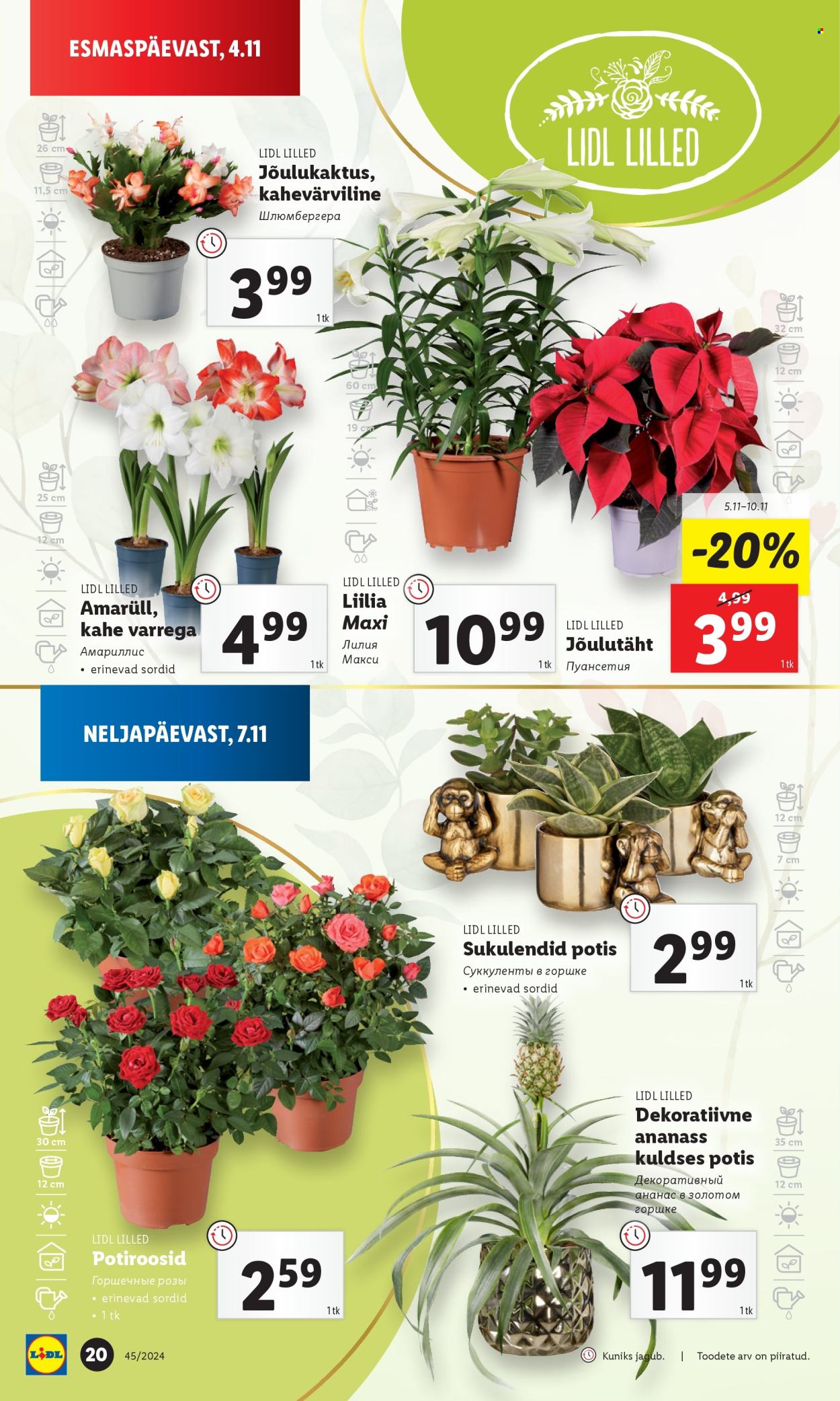 lidl - Lidl kliendileht - Kliendileht (4.11 - 10.11.2024) - page: 20