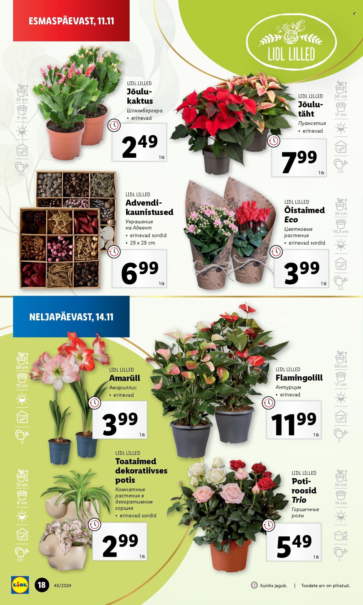 lidl - Lidl kliendileht - Kliendileht (11.11 - 17.11.2024) - page: 18