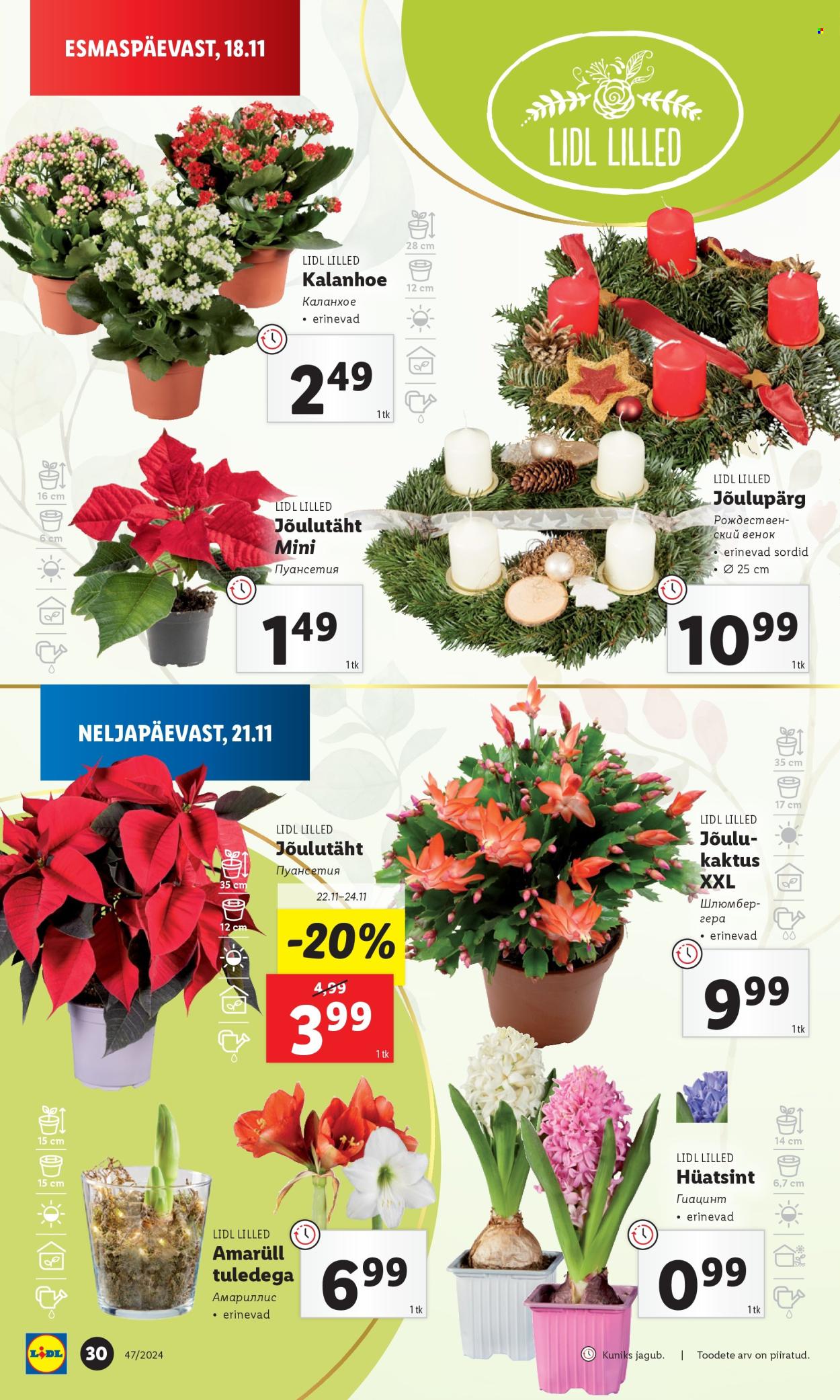 lidl - Lidl kliendileht - Kliendileht (21.11 - 24.11.2024) - page: 30