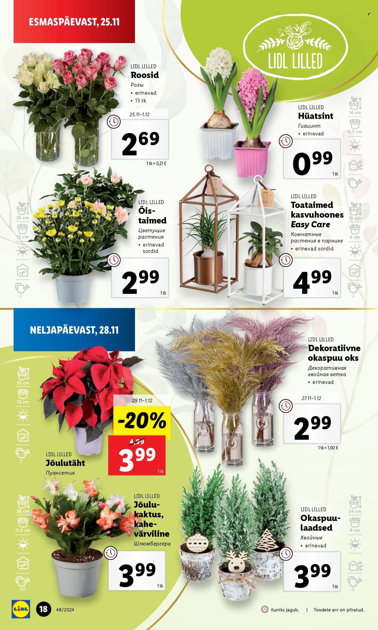 lidl - Lidl kliendileht (25.11 - 1.12.2024) - page: 18