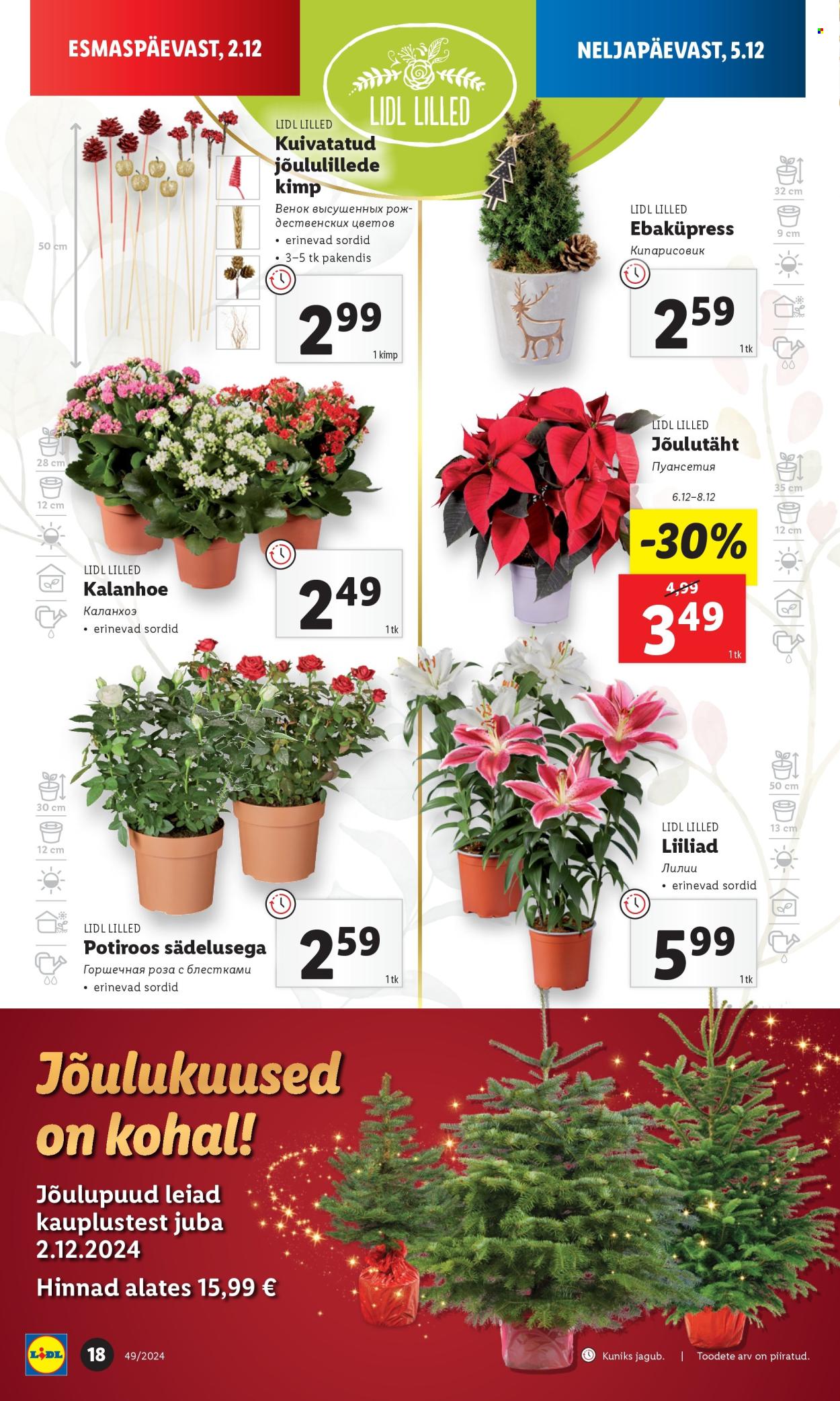 lidl - Lidl kliendileht - Kliendileht (2.12 - 8.12.2024) - page: 18