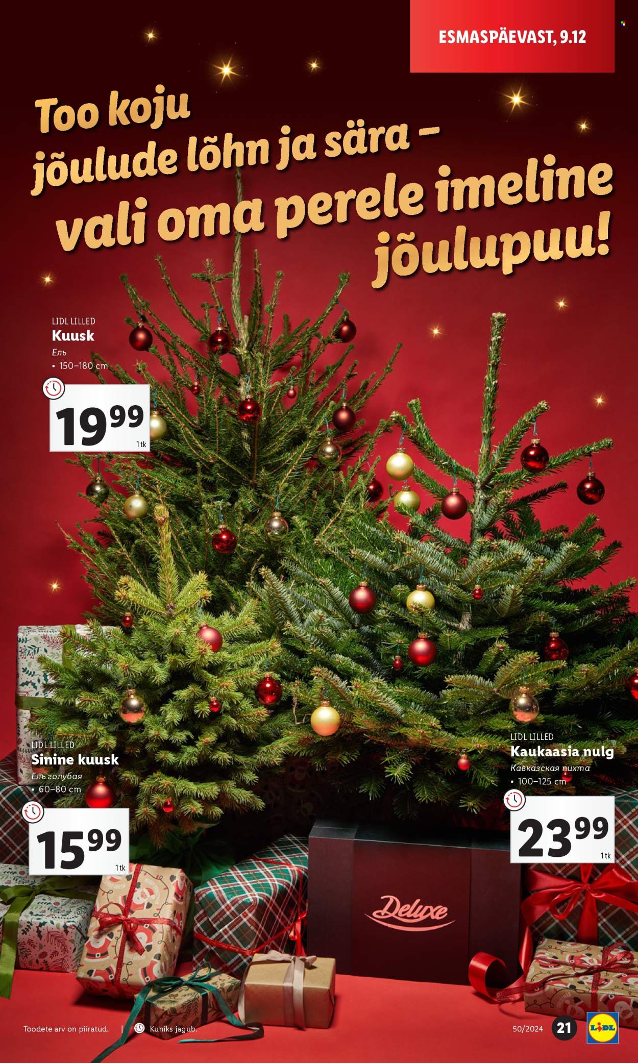 lidl - Lidl kliendileht - Kliendilehed (9.12 - 15.12.2024) - page: 21