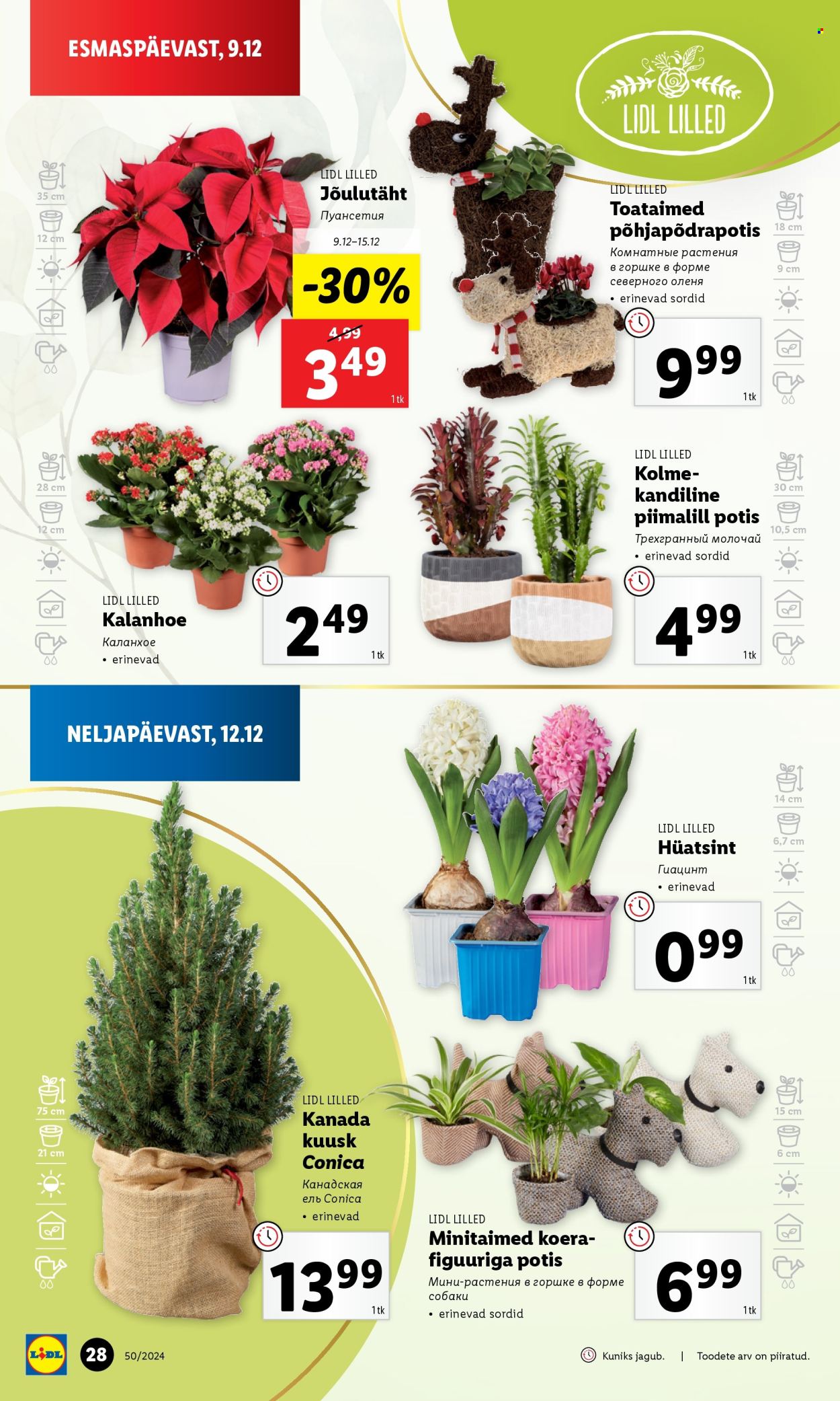 lidl - Lidl kliendileht - Nädalalõpu pakkumised (12.12 - 15.12.2024) - page: 28