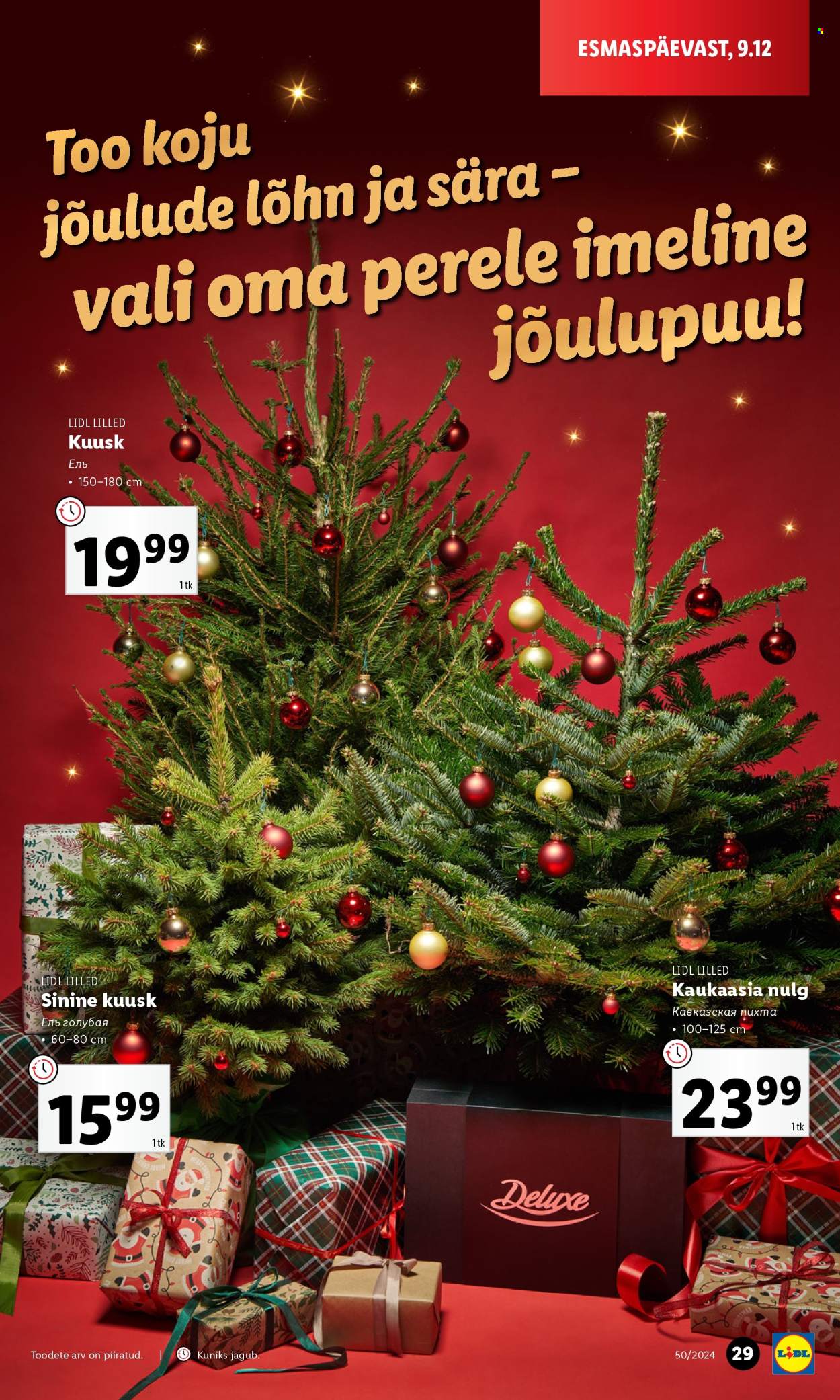 lidl - Lidl kliendileht - Nädalalõpu pakkumised (12.12 - 15.12.2024) - page: 29