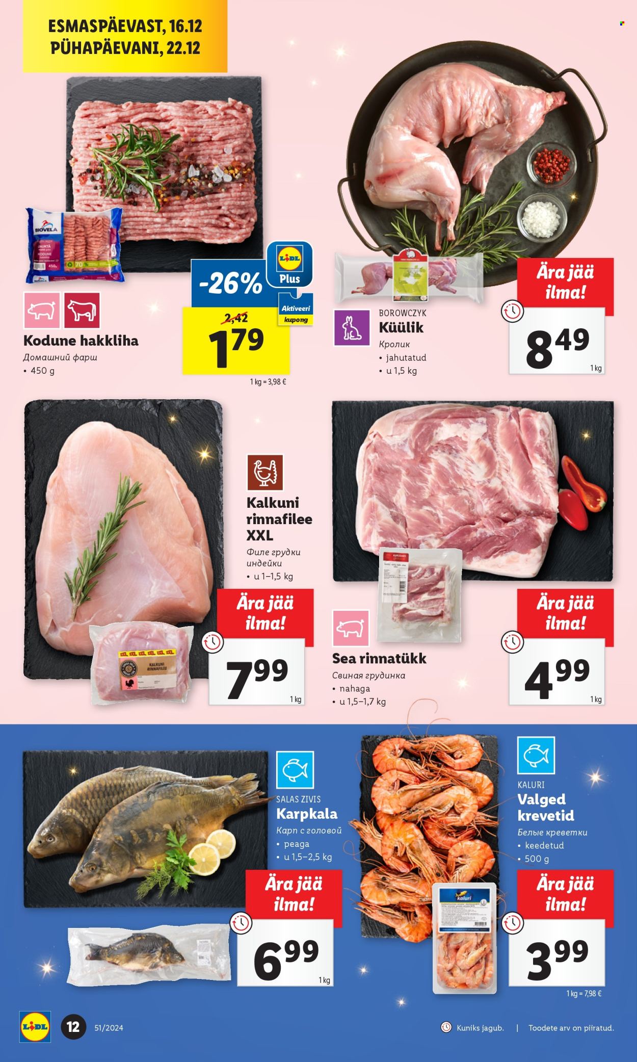 lidl - Lidl kliendileht - Kliendilehed (16.12 - 23.12.2024) - page: 12