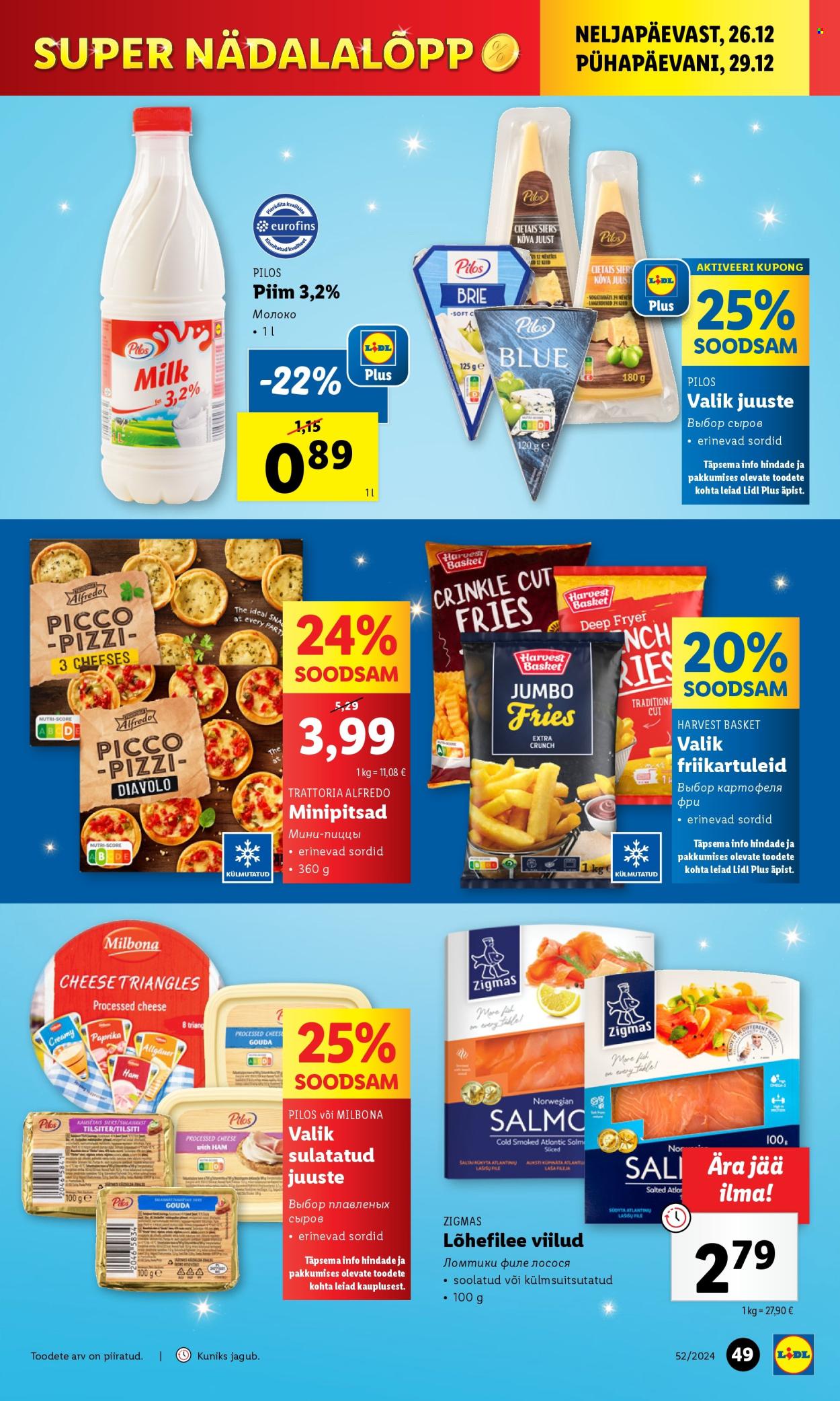 lidl - Lidl kliendileht - Kliendilehed (23.12 - 29.12.2024) - page: 49