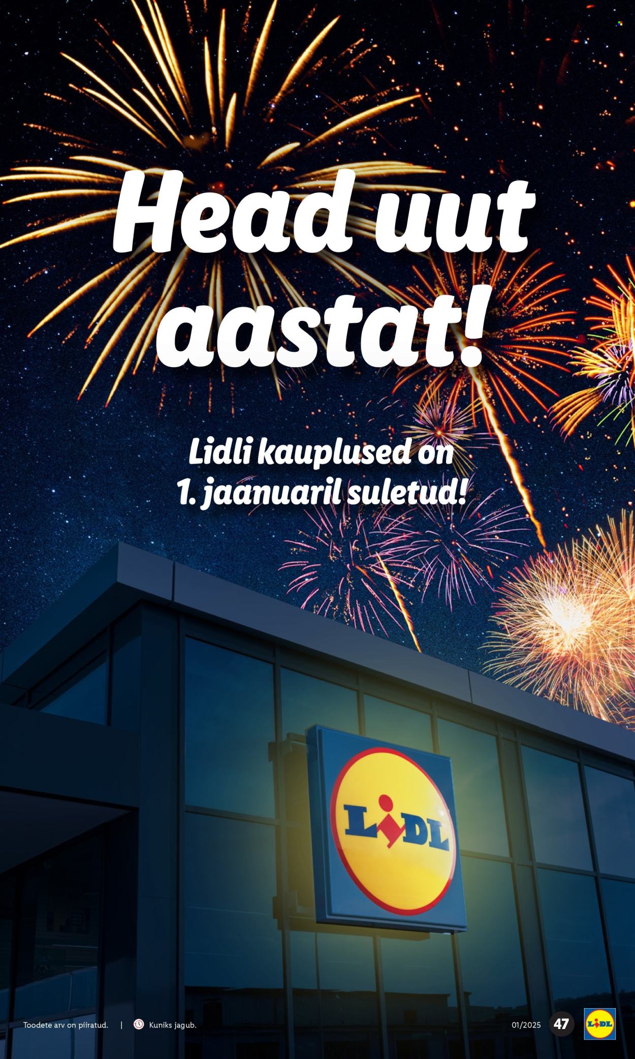 lidl - Lidl kliendileht - Kliendilehed (30.12.2024 - 5.01.2025) - page: 47