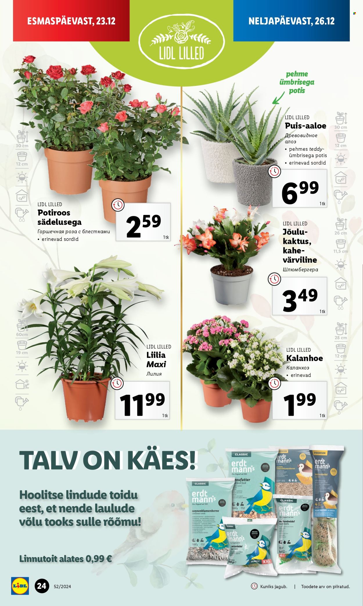 lidl - Lidl kliendileht - Nädalalõpu pakkumised (26.12 - 29.12.2024) - page: 24