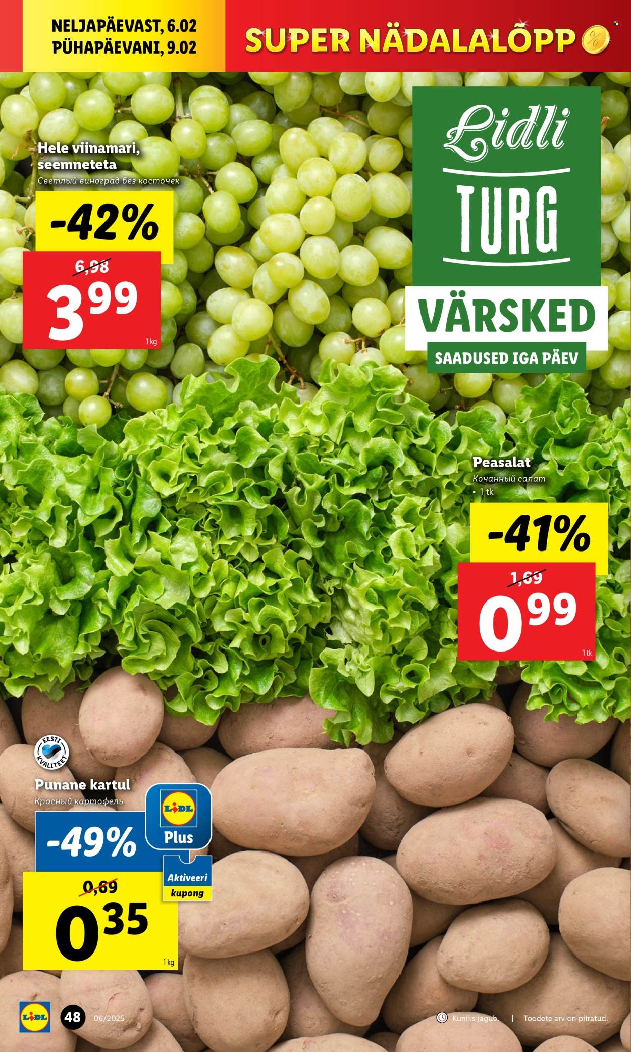 lidl - Lidl kliendileht - Kliendilehed (3.02 - 9.02.2025) - page: 48