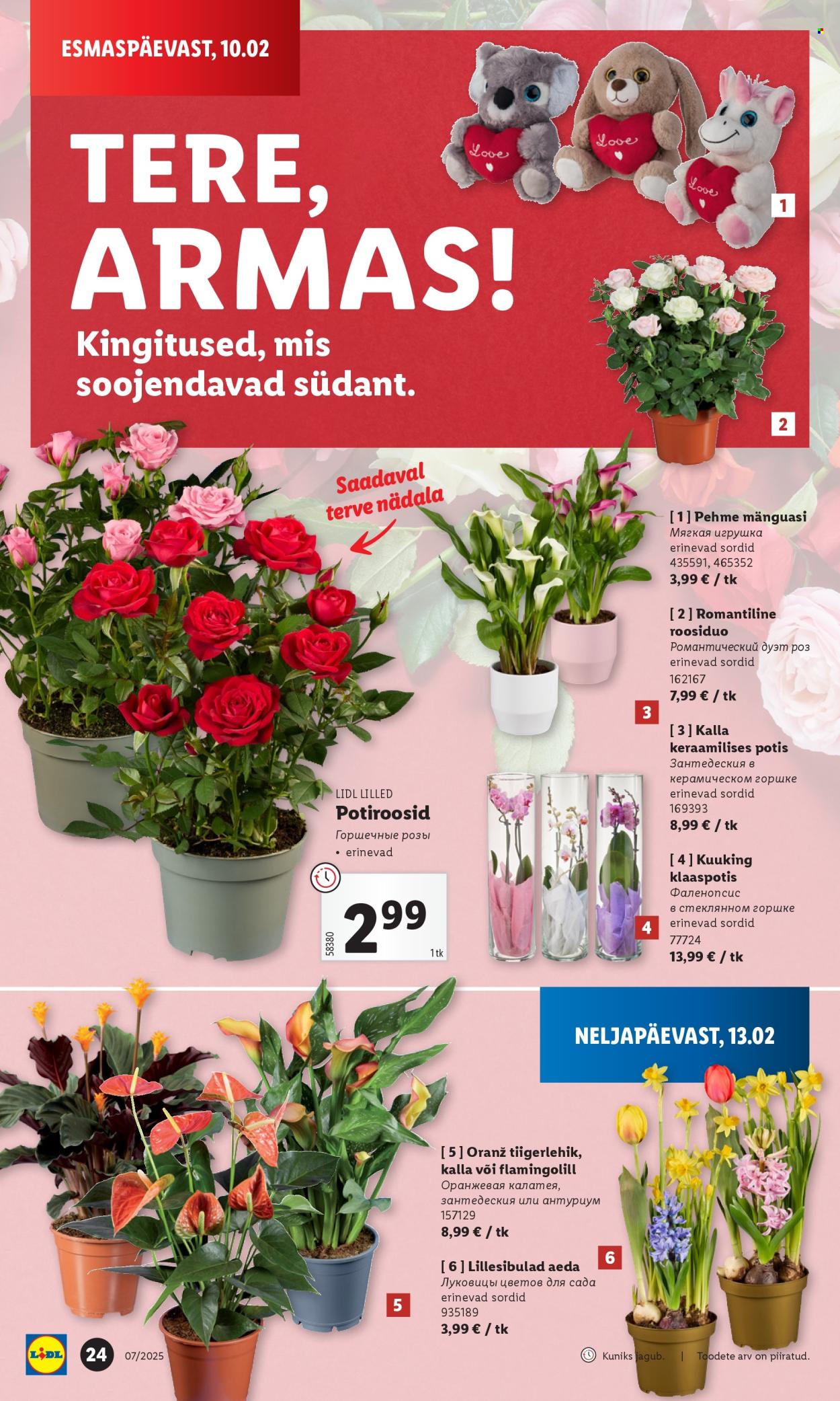 lidl - Lidl kliendileht - Kliendileht (10.02 - 16.02.2025) - page: 24