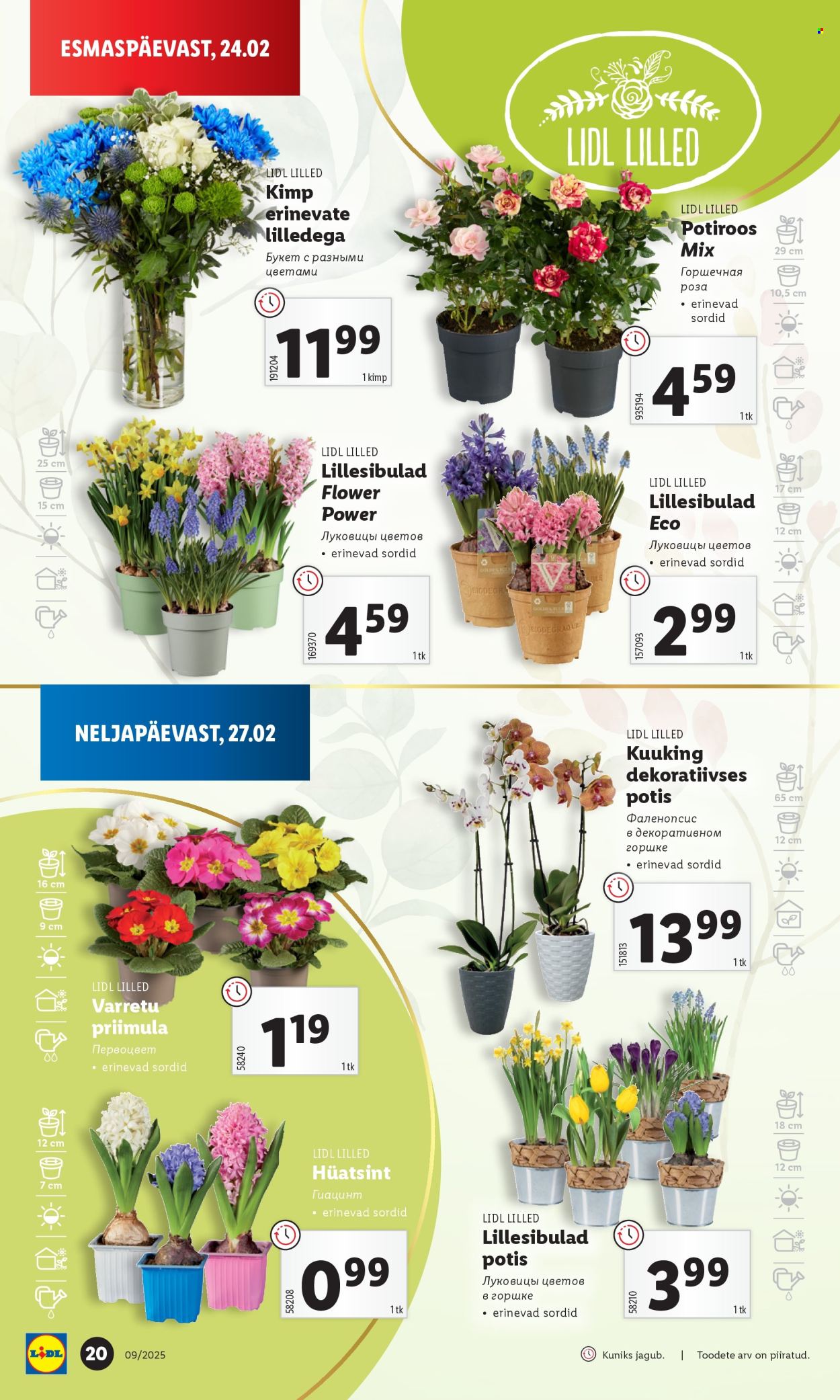 lidl - Lidl kliendileht - Kliendileht (24.02 - 2.03.2025) - page: 20