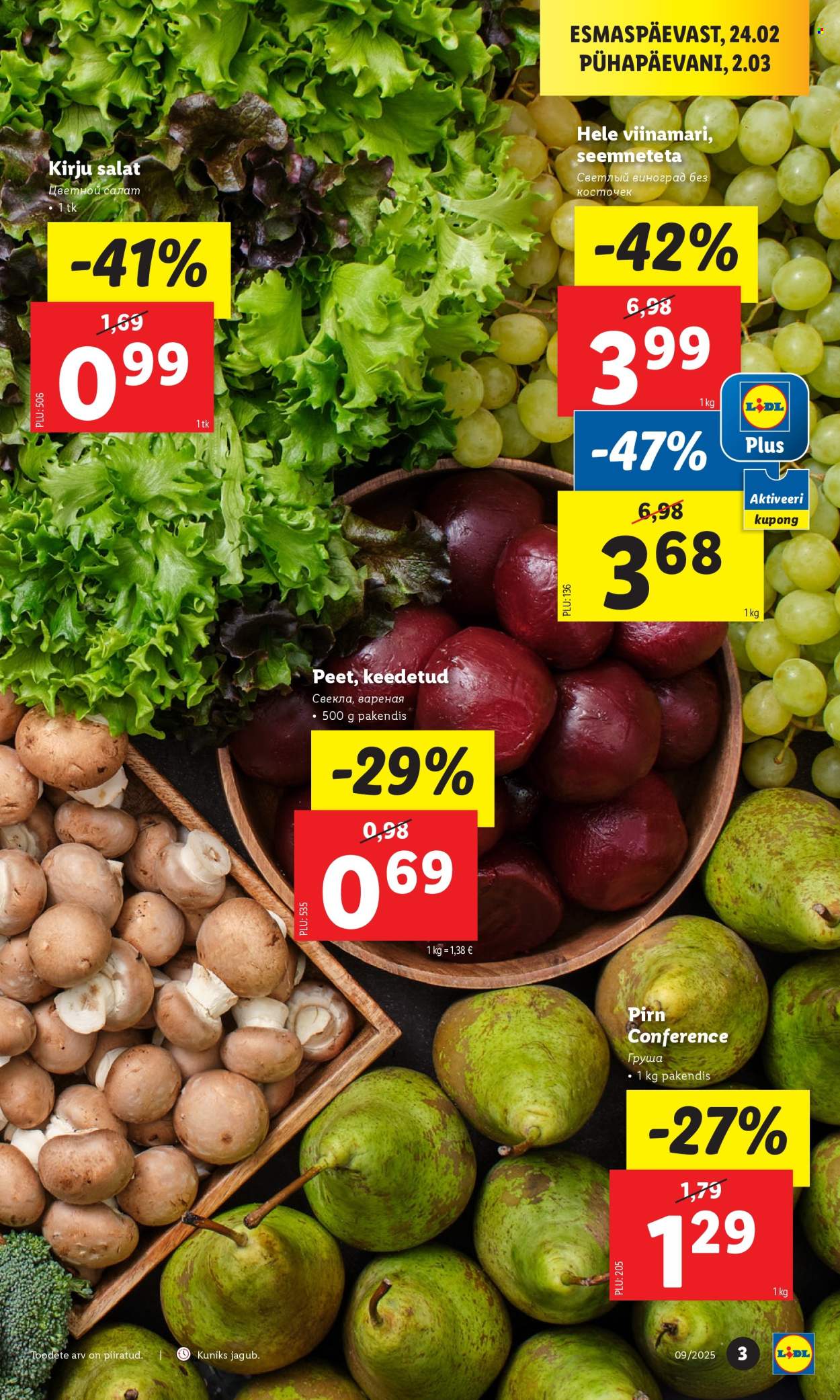 lidl - Lidl kliendileht - Kliendileht (24.02 - 2.03.2025) - page: 3