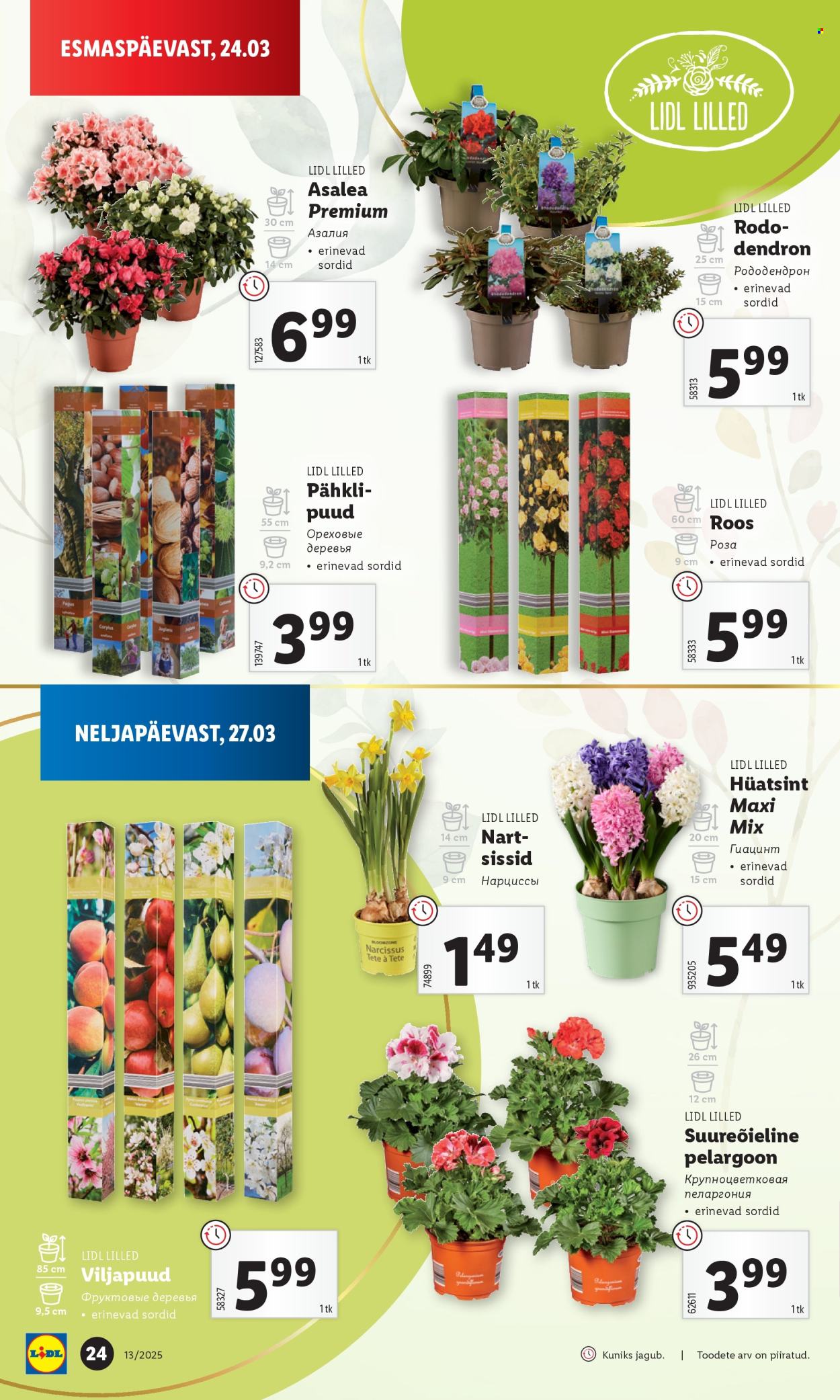 lidl - Lidl kliendileht - Kliendileht (24.03 - 30.03.2025) - page: 24