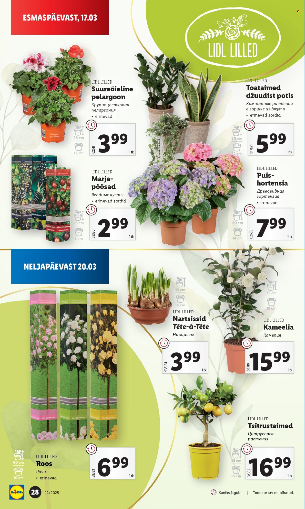 lidl - Lidl kliendileht - Nädalalõpu pakkumised (20.03 - 23.03.2025) - page: 28